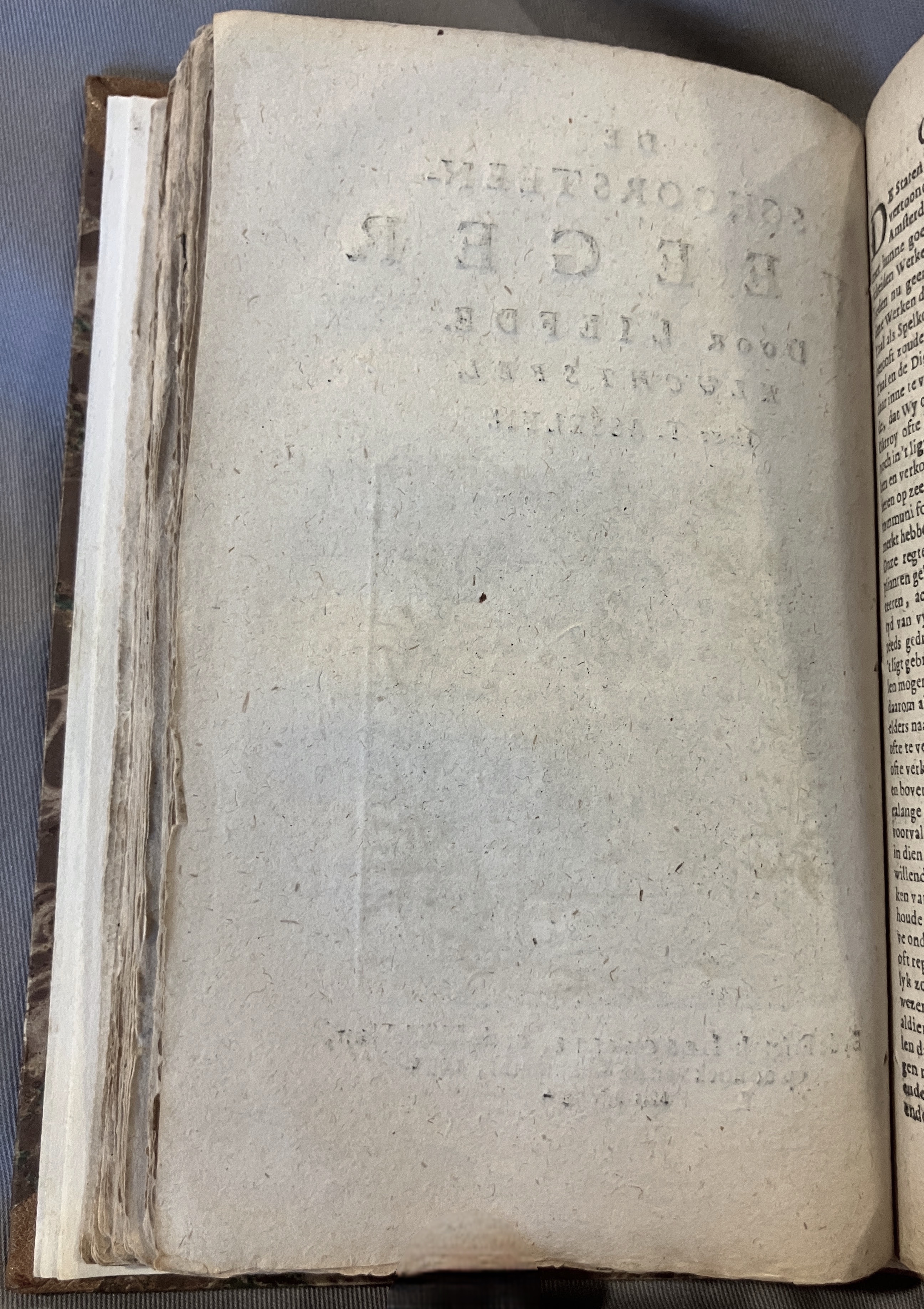 AsselijnSchoorsteenveeger1692p02