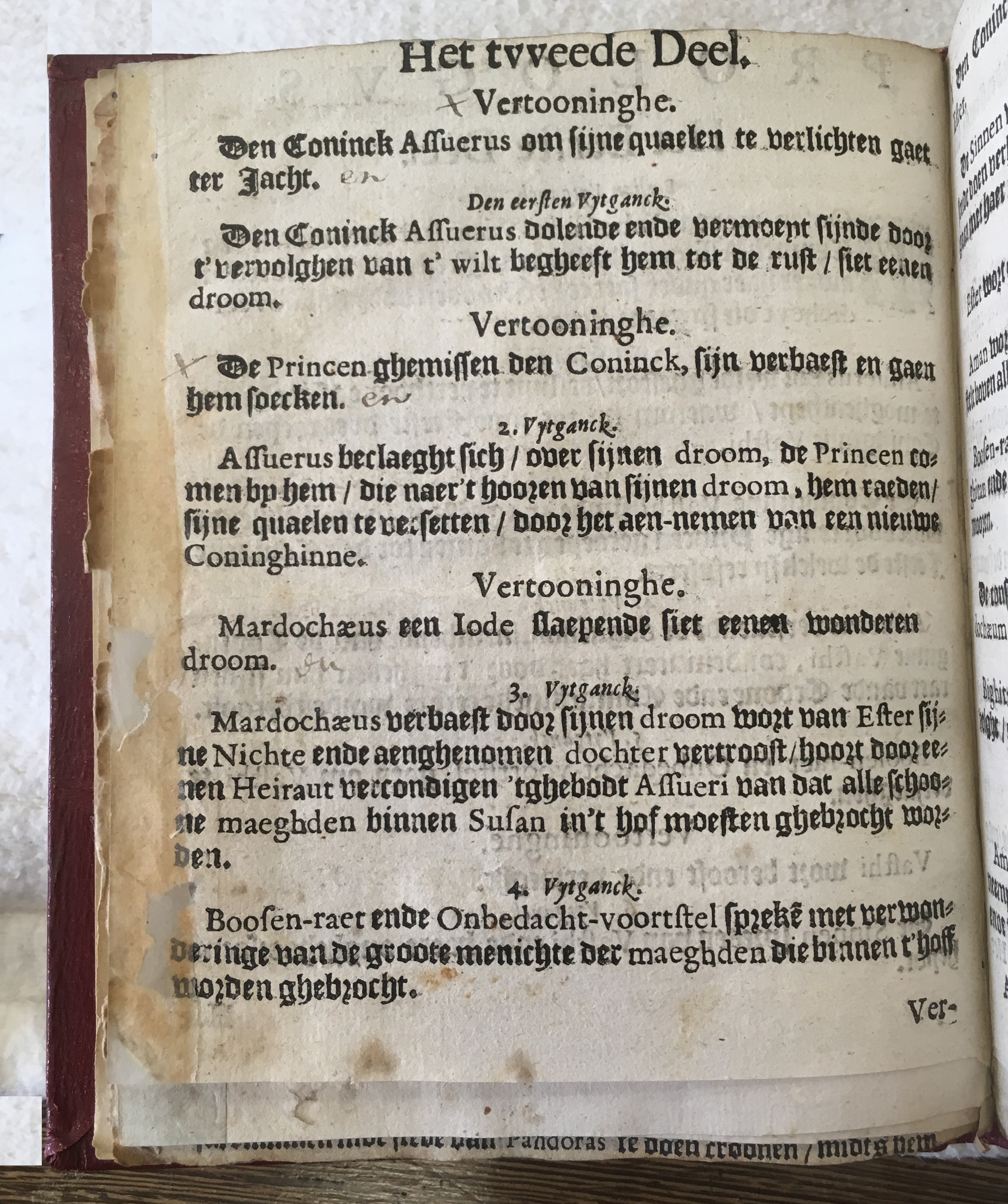 BerckmansEdissa1649p04.jpg