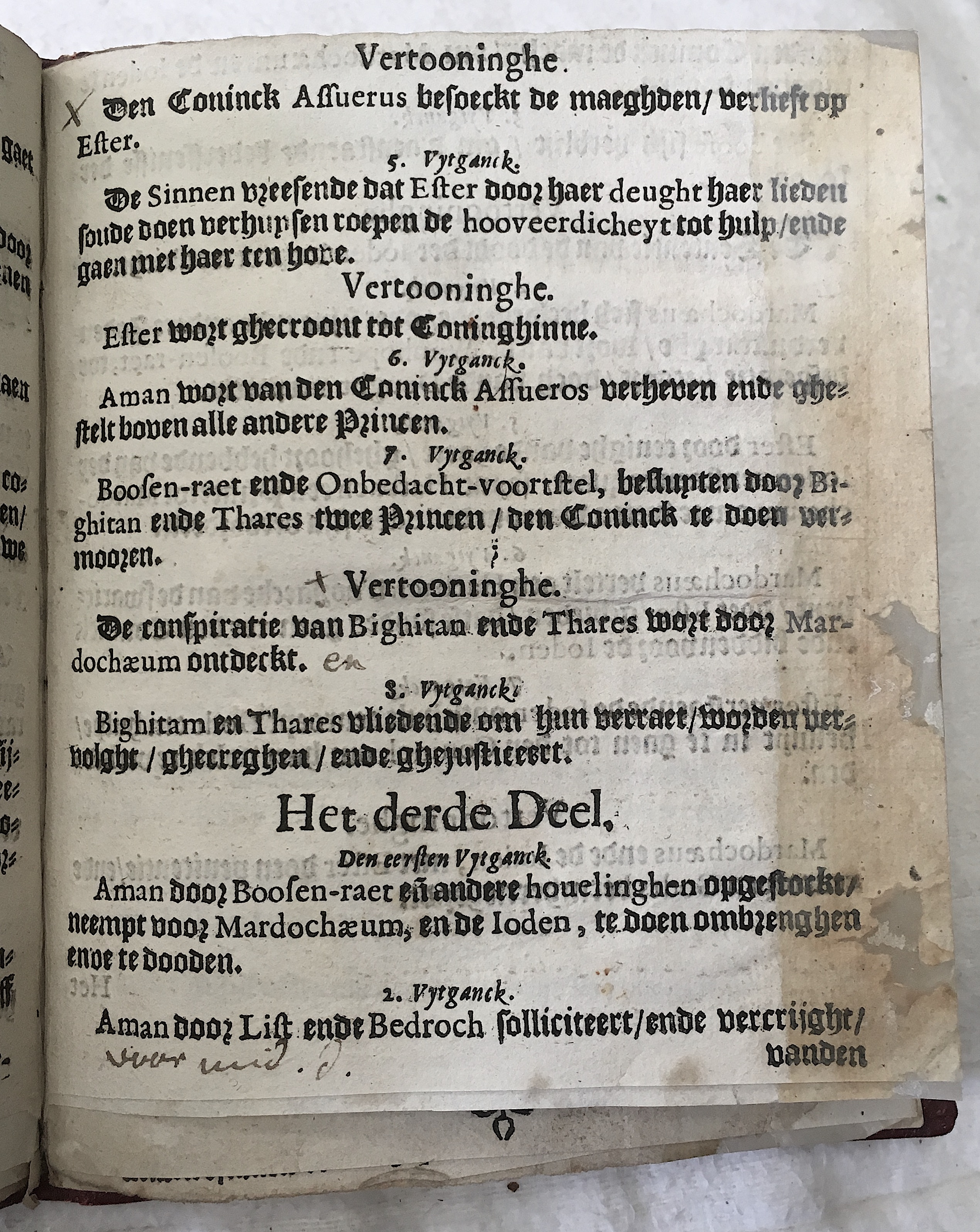 BerckmansEdissa1649p05.jpg