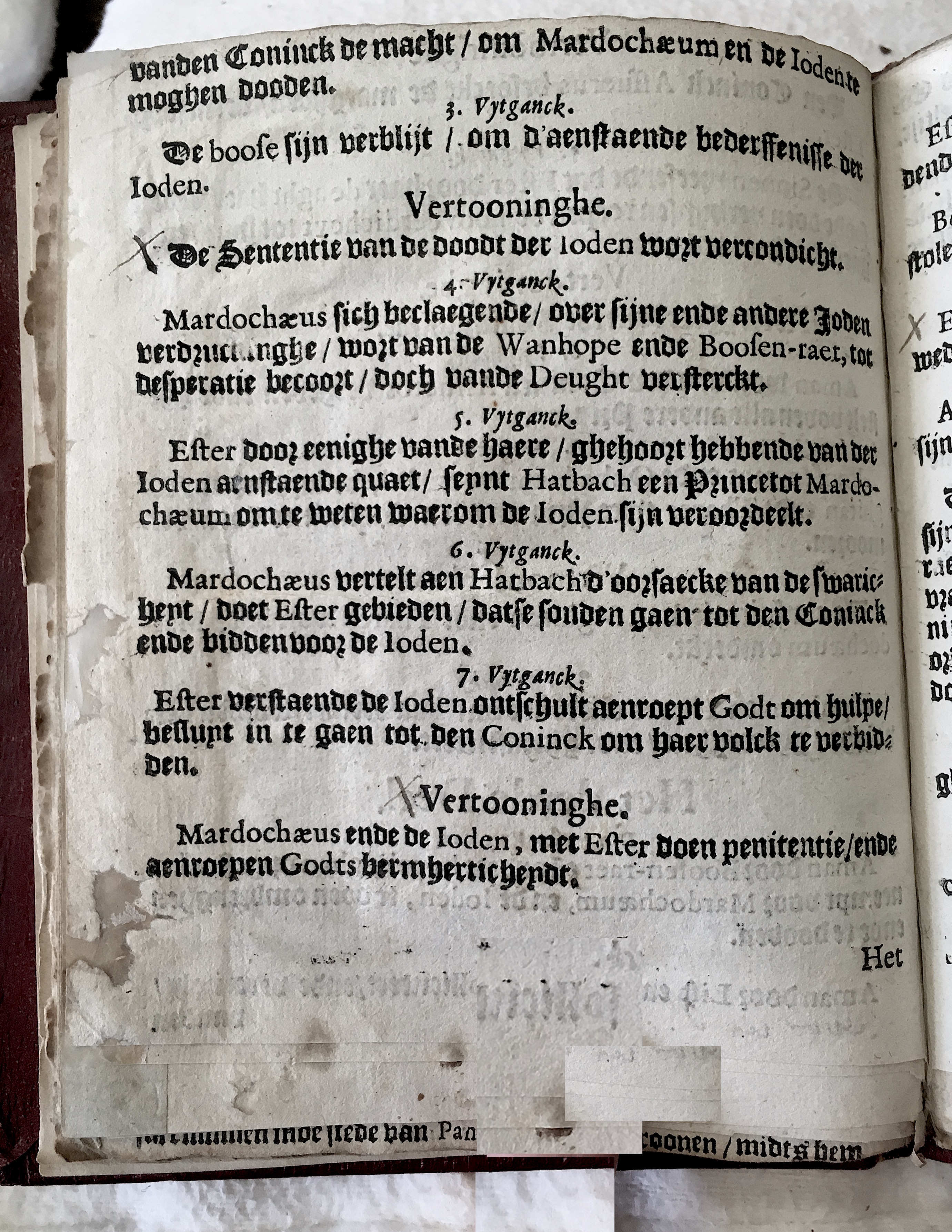 BerckmansEdissa1649p06.jpg