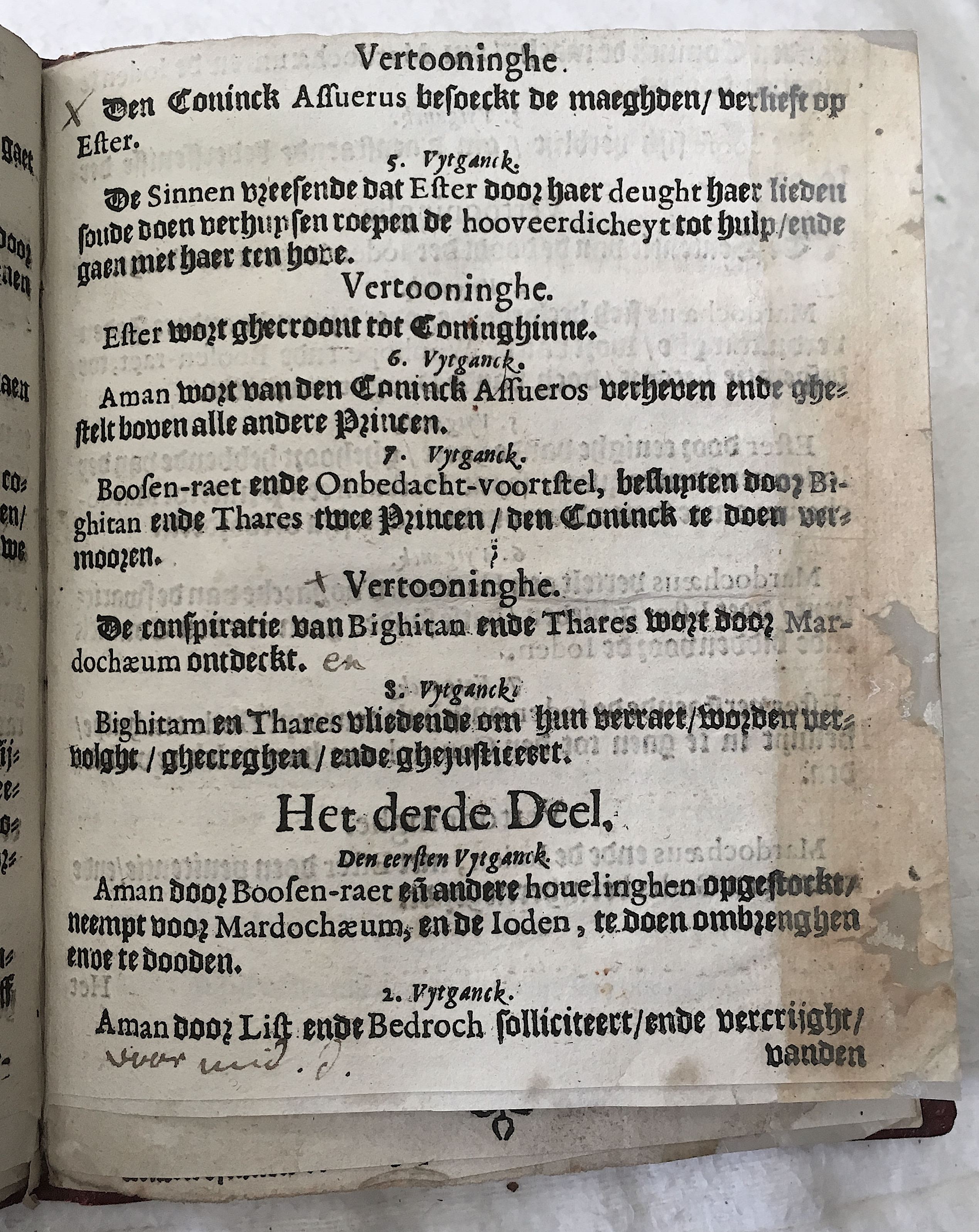 BerckmansEdissa1649p05