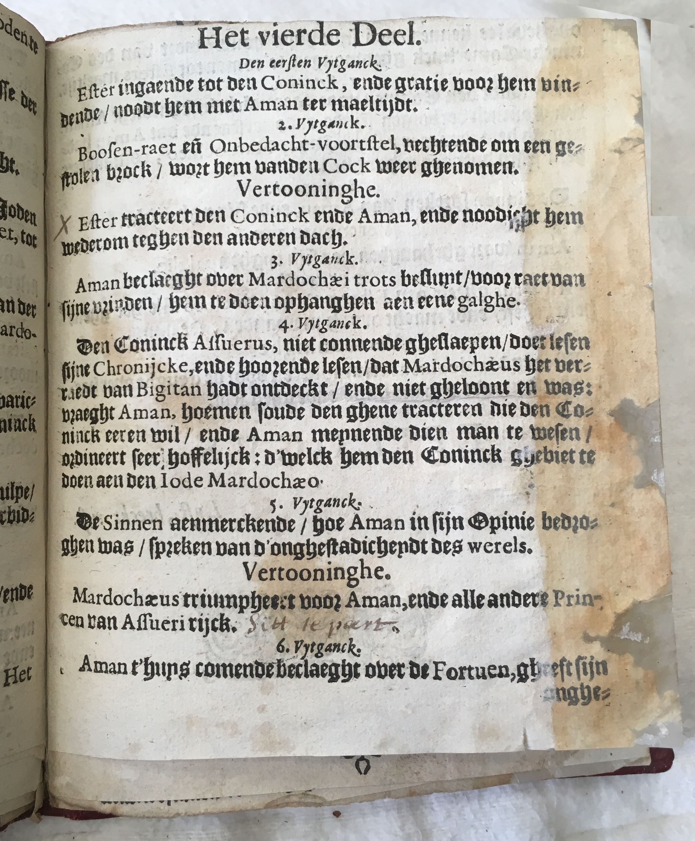 BerckmansEdissa1649p07