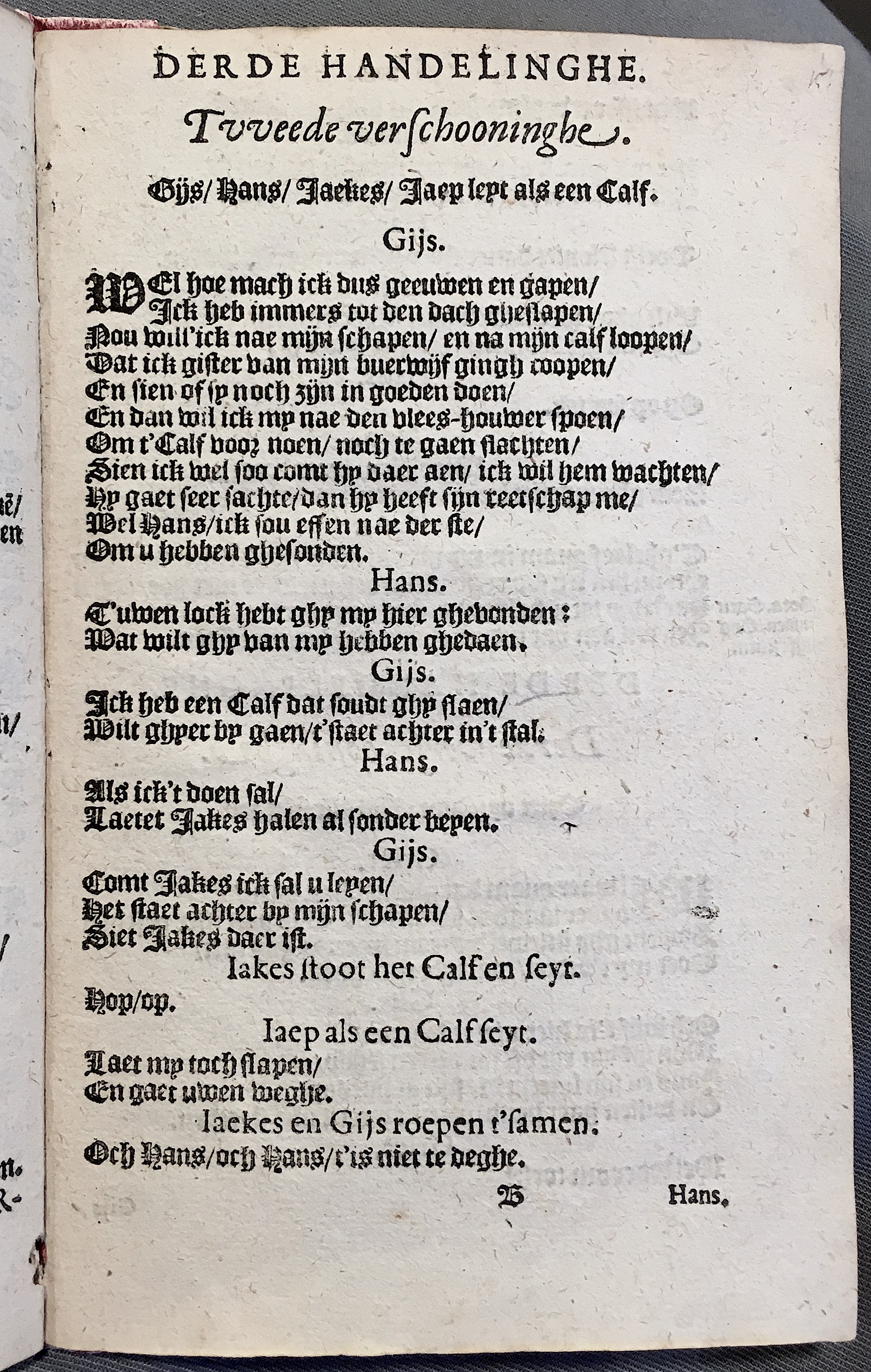 BoerCalfsvel1615ca17.jpg