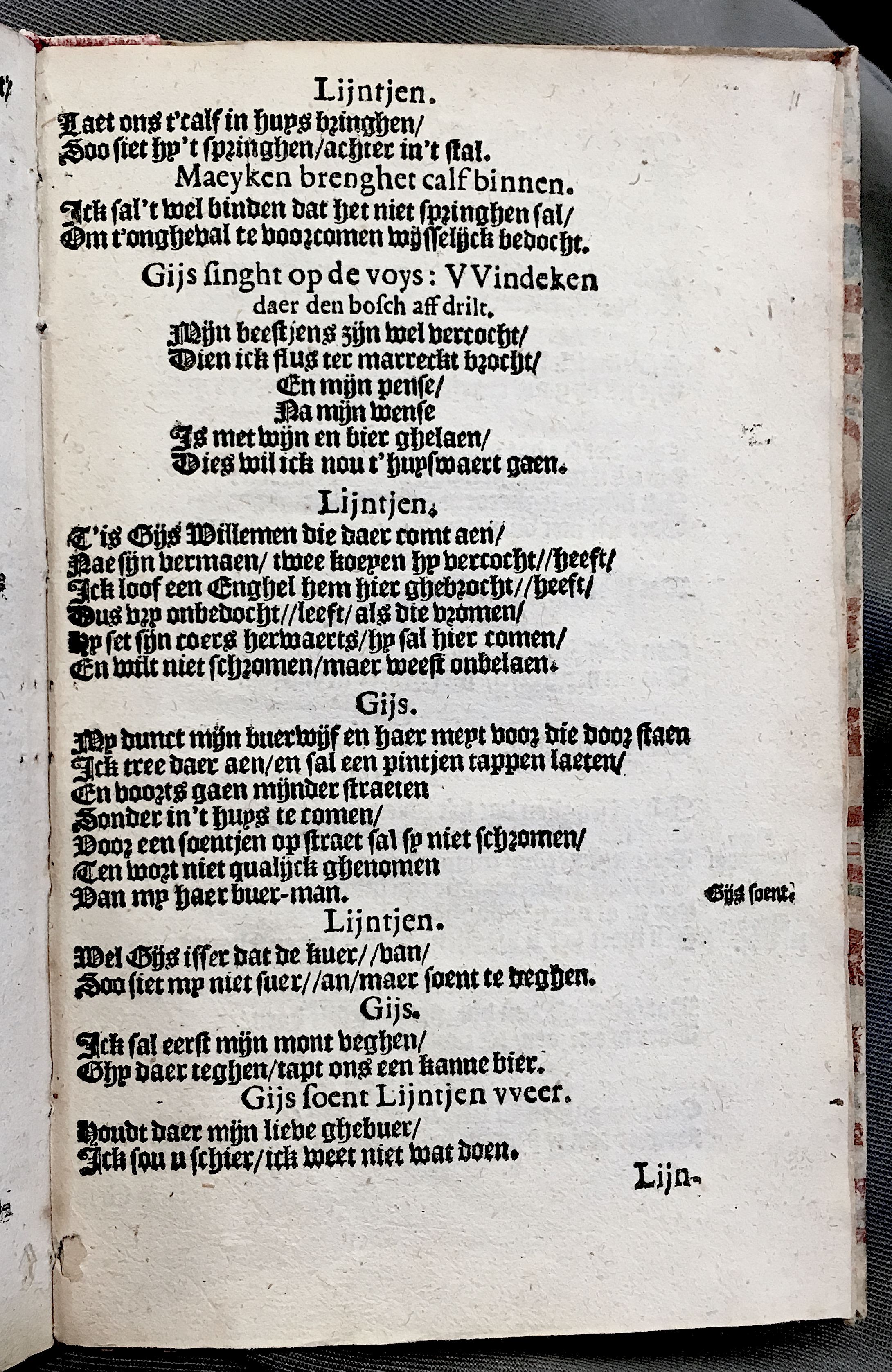 BoerCalfsvel1615ca13