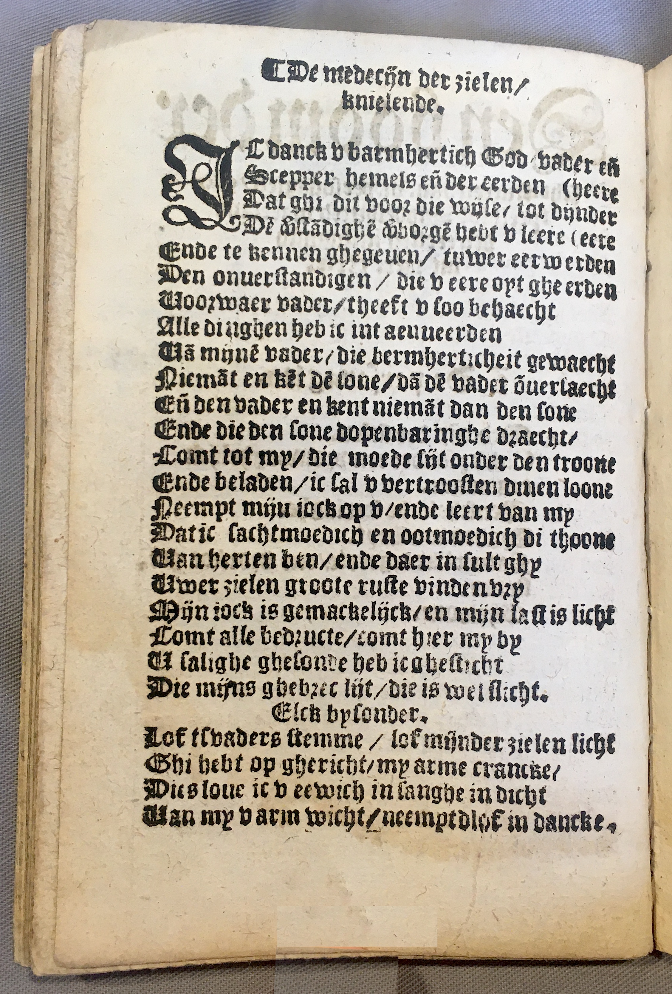 BoomSchriftueren1539ca02