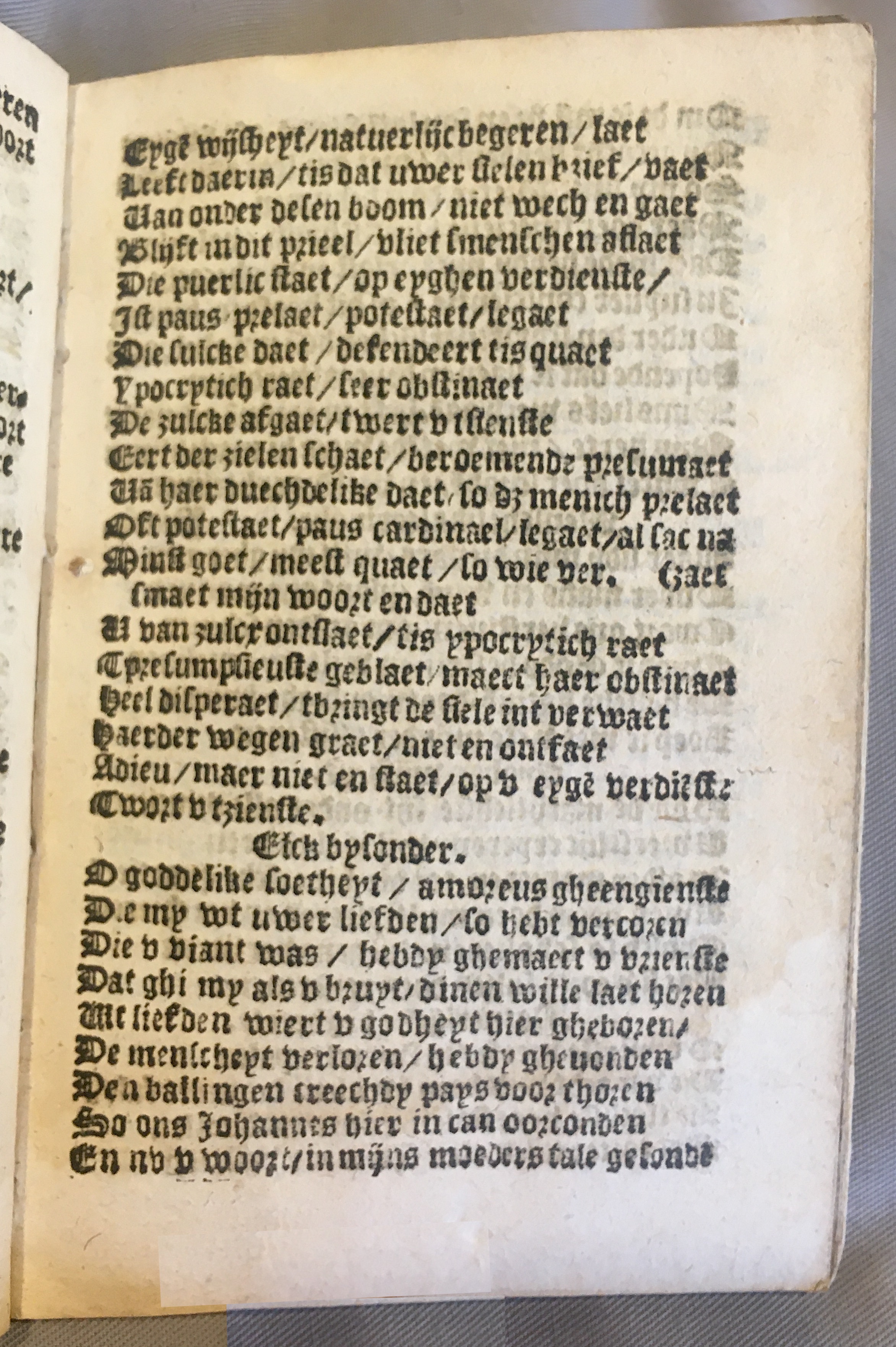 BoomSchriftueren1539ca05