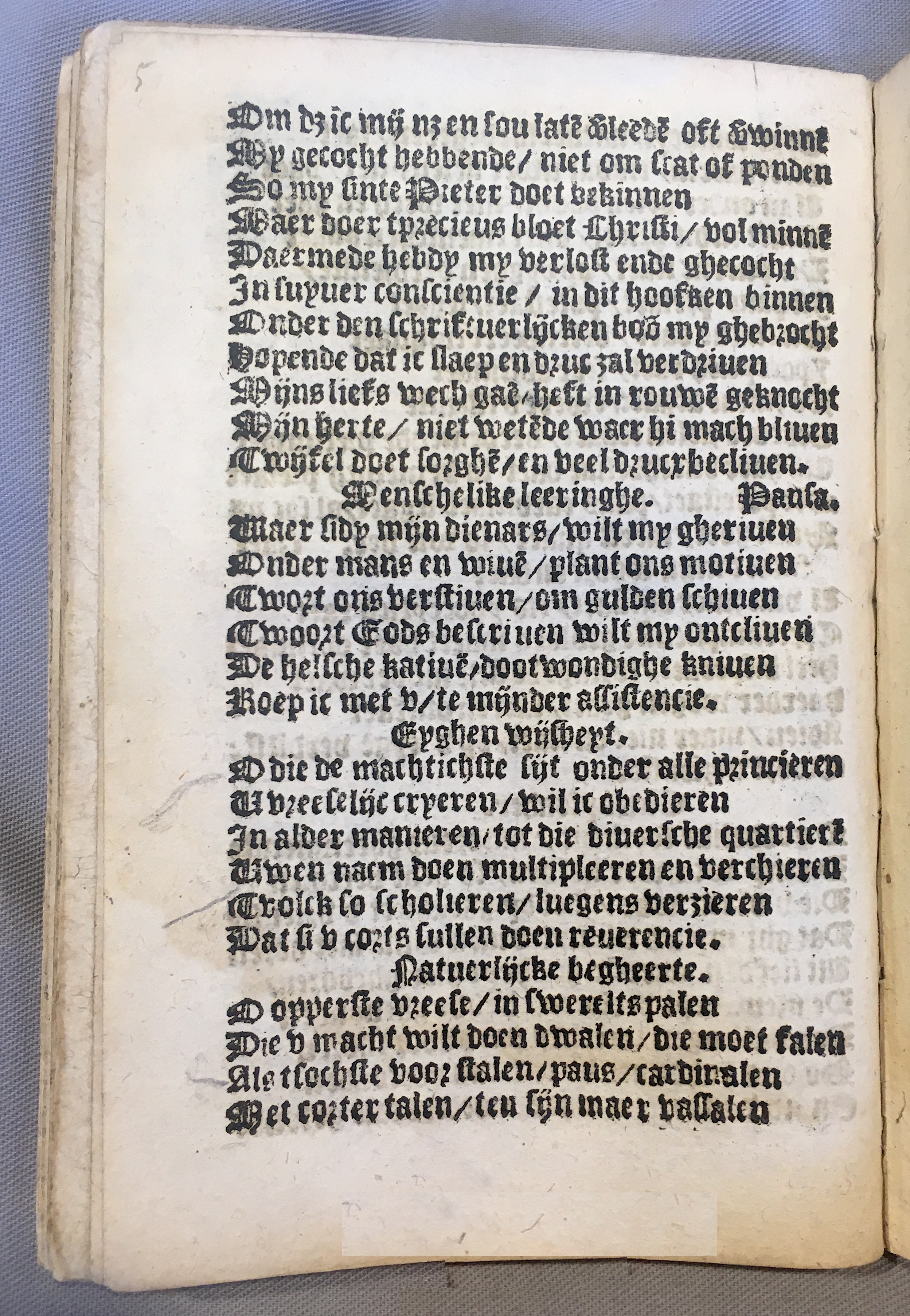 BoomSchriftueren1539ca06