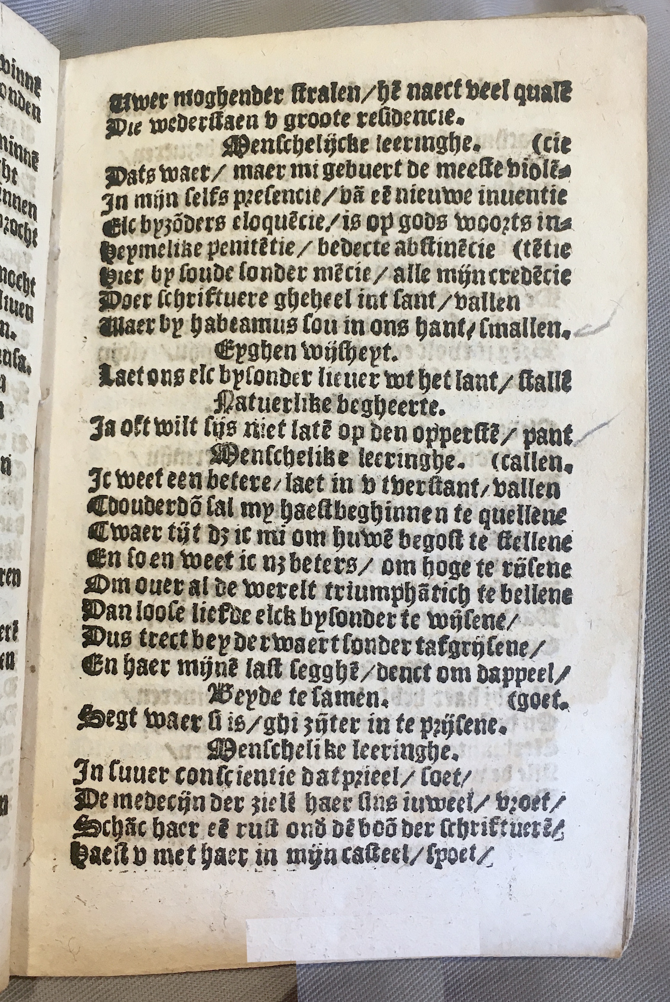 BoomSchriftueren1539ca07