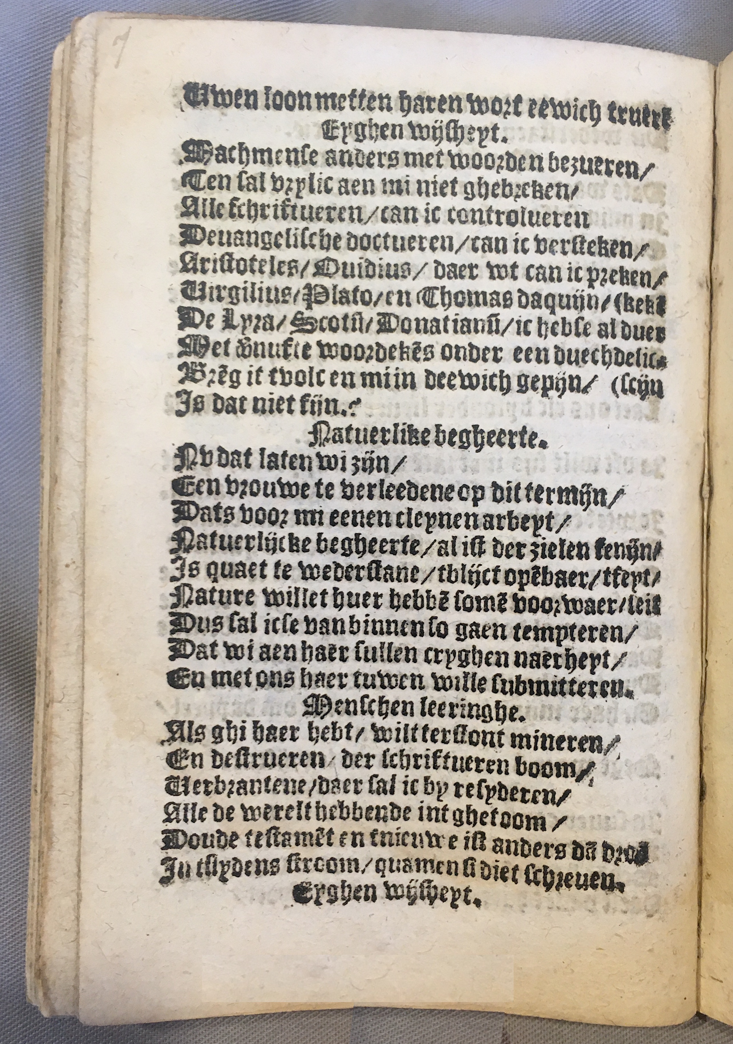 BoomSchriftueren1539ca08