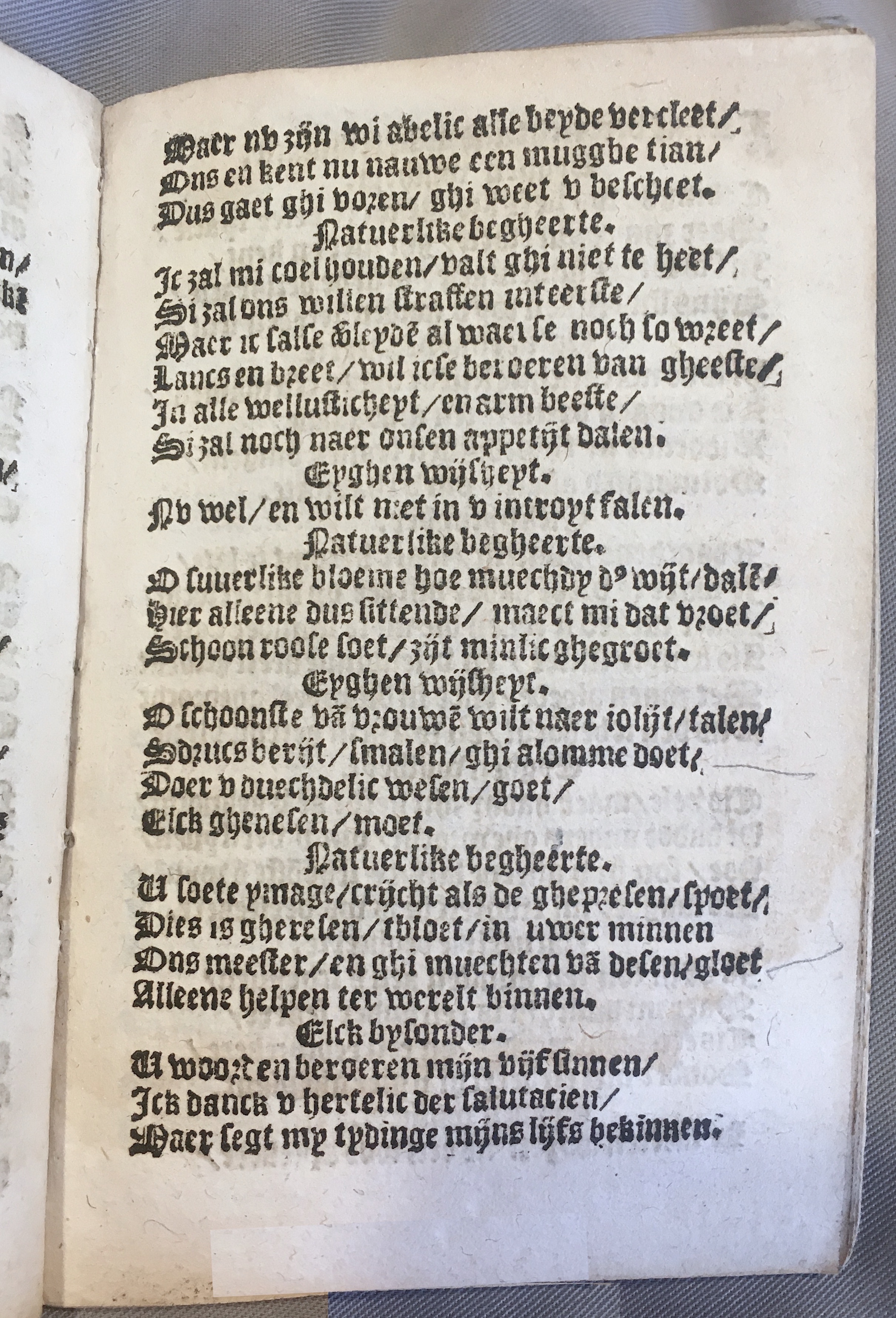 BoomSchriftueren1539ca13.jpg