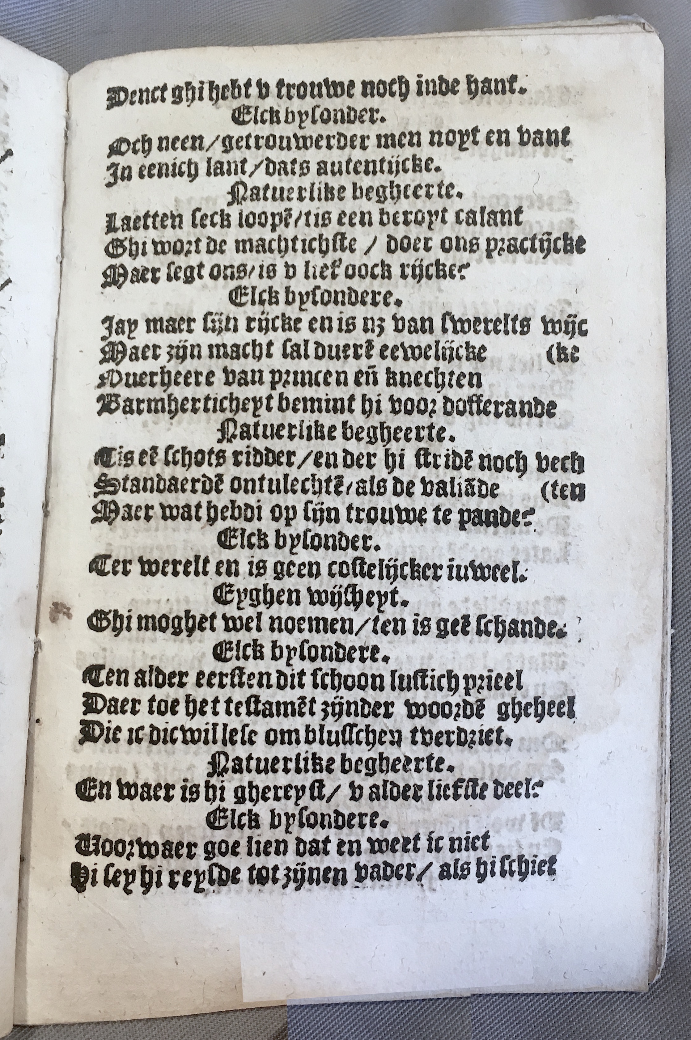 BoomSchriftueren1539ca15