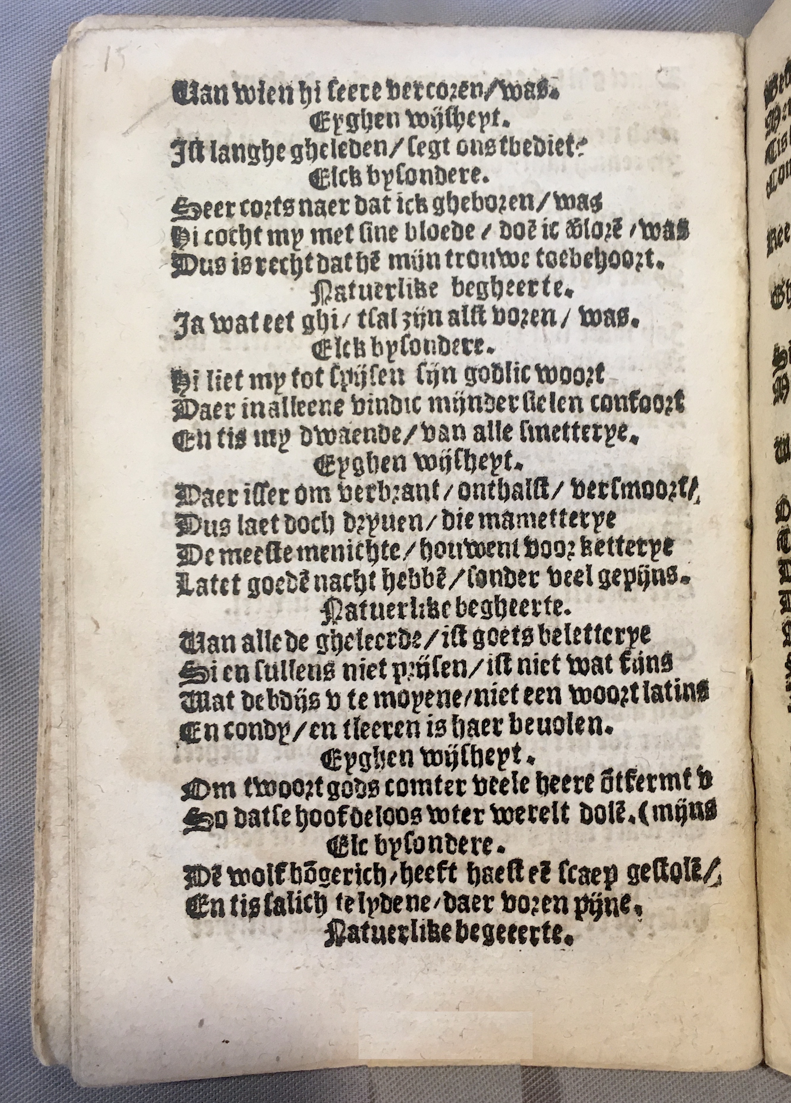 BoomSchriftueren1539ca16.jpg