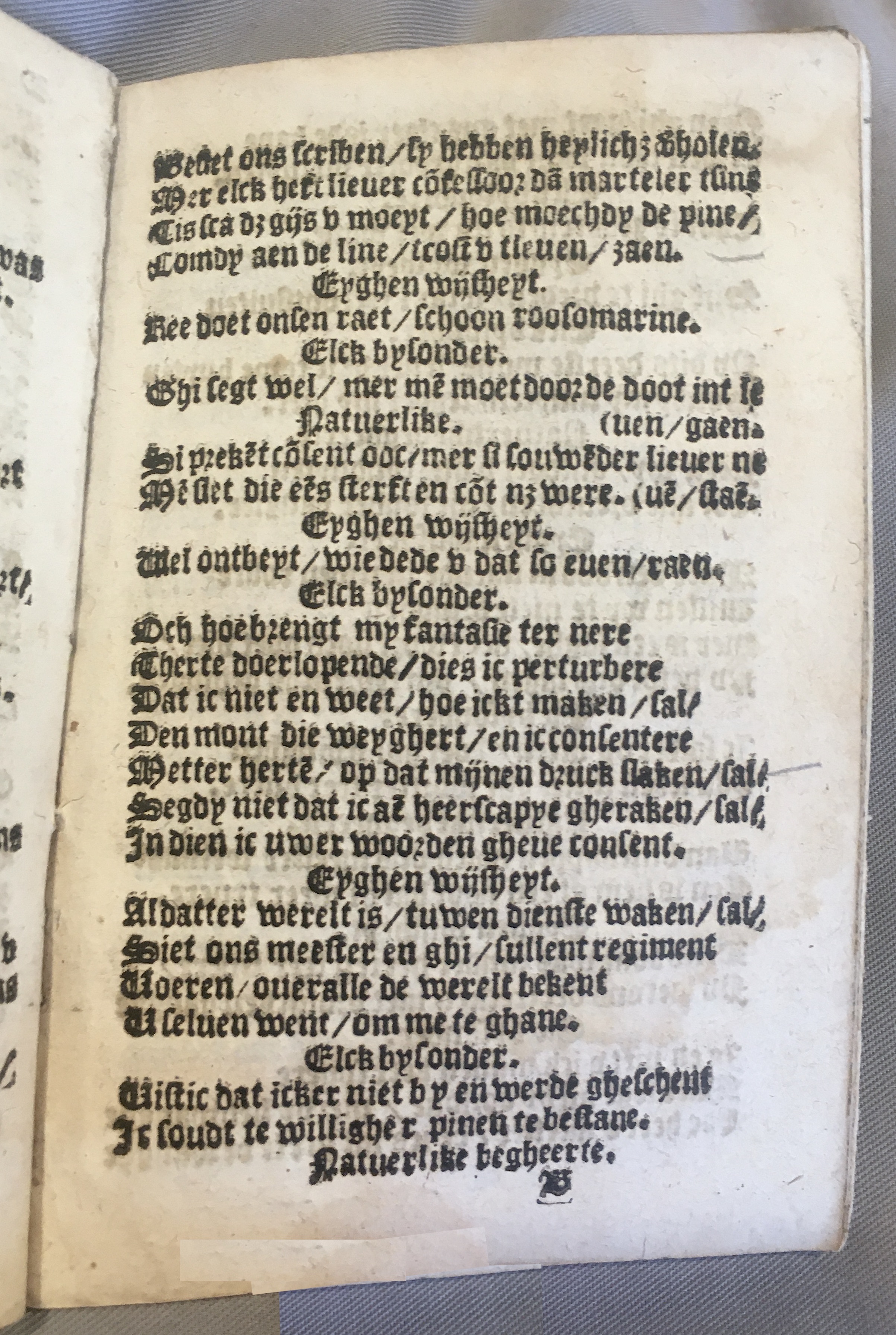 BoomSchriftueren1539ca17.jpg