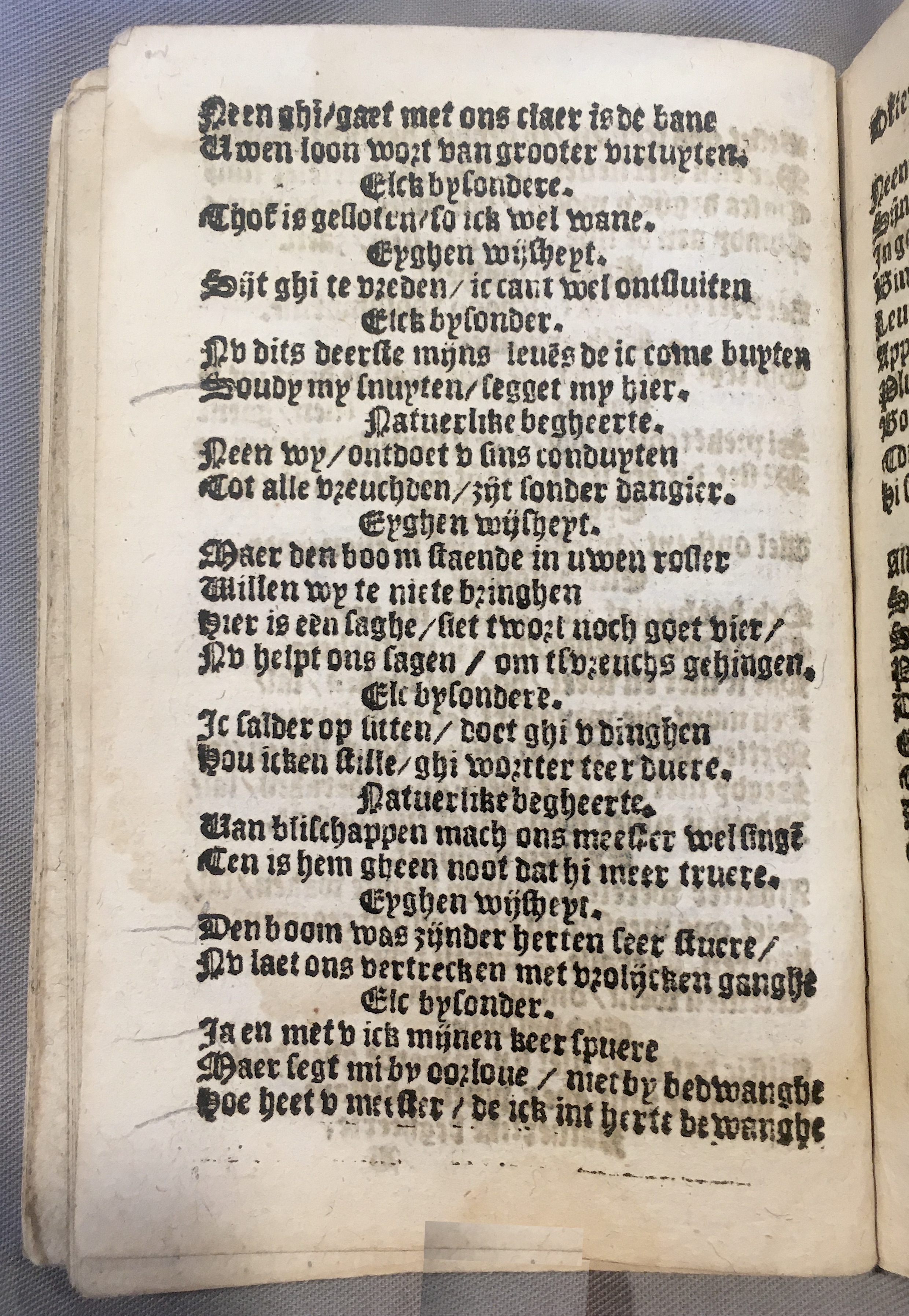 BoomSchriftueren1539ca18