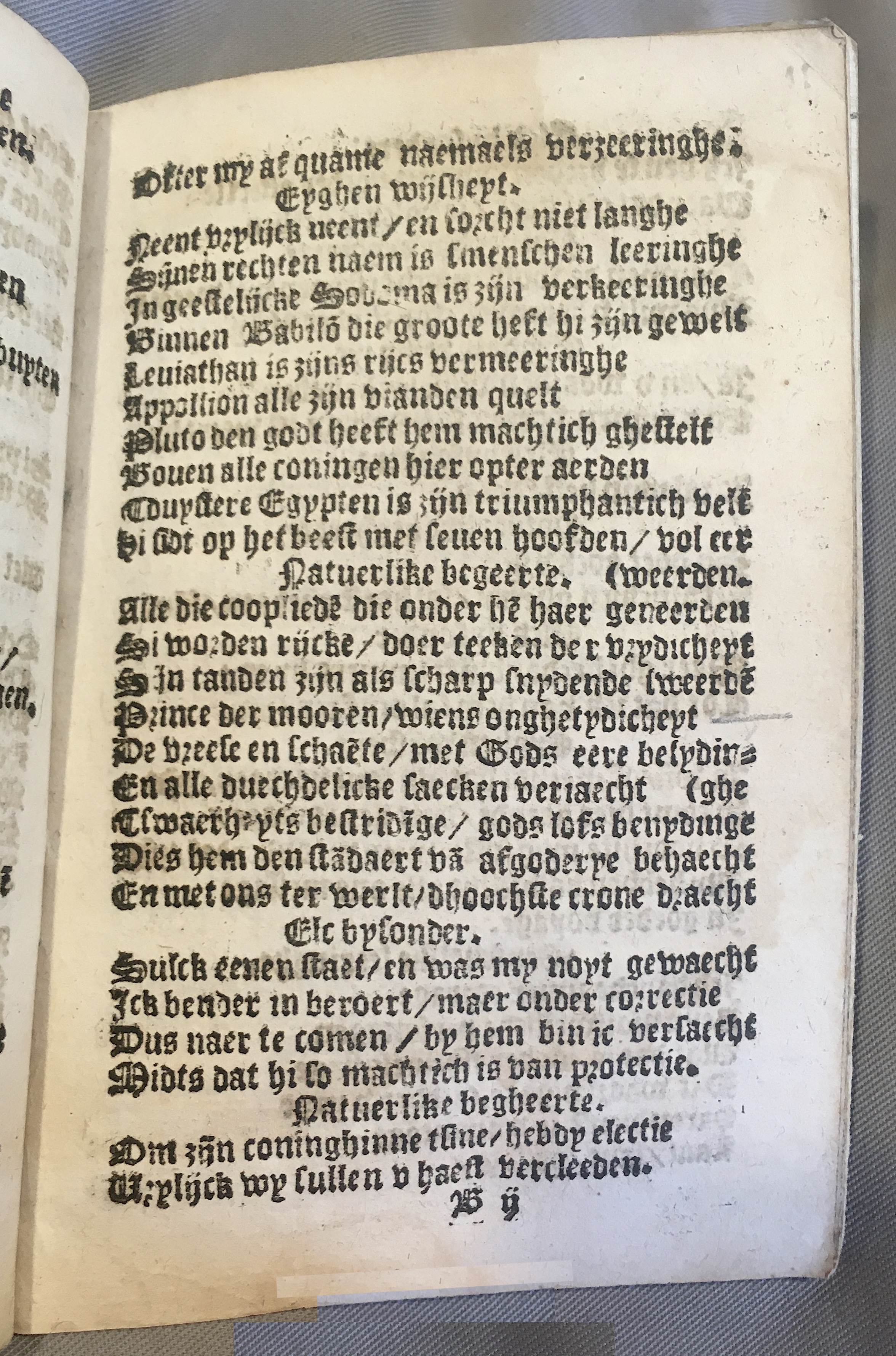 BoomSchriftueren1539ca19