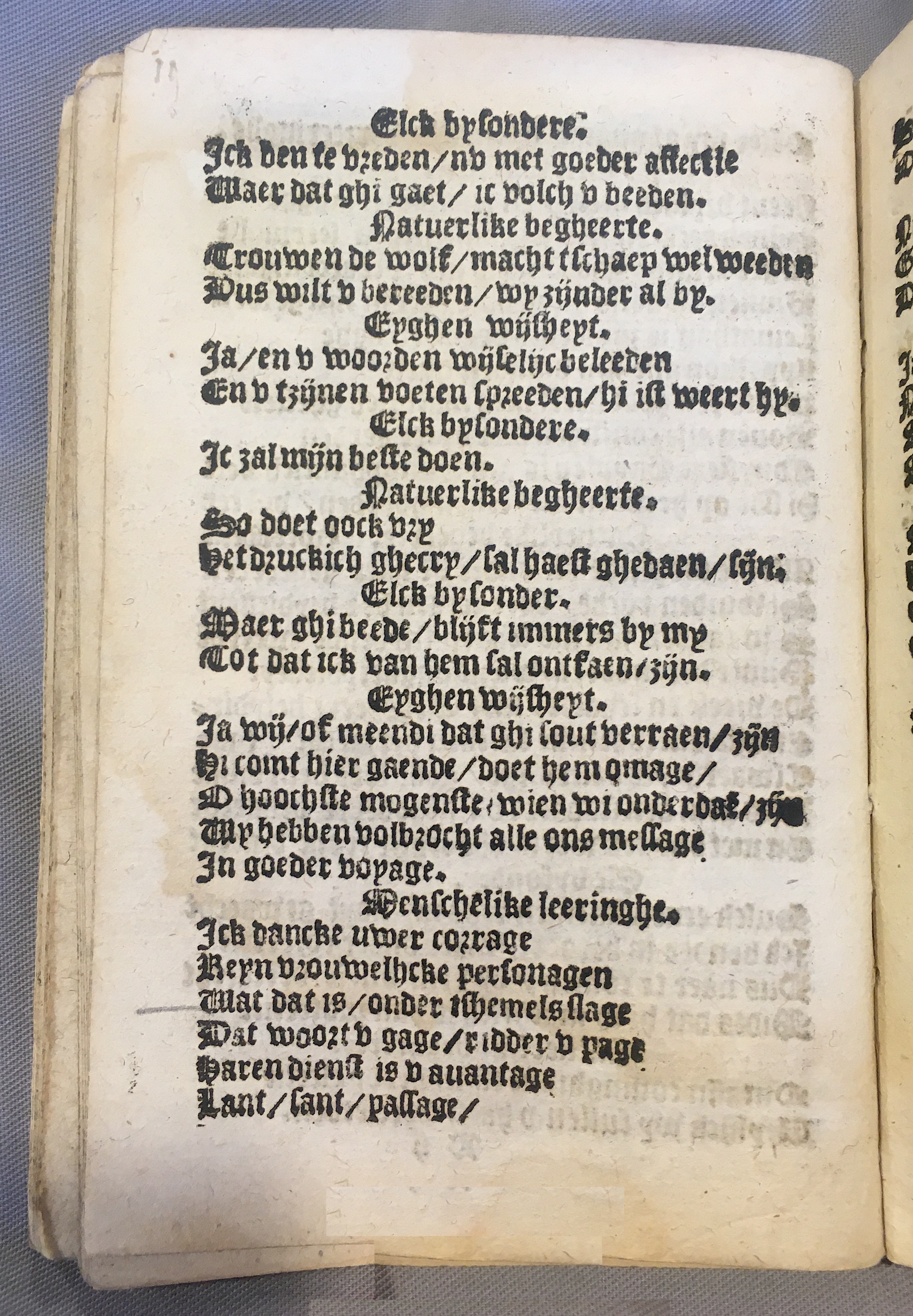 BoomSchriftueren1539ca20