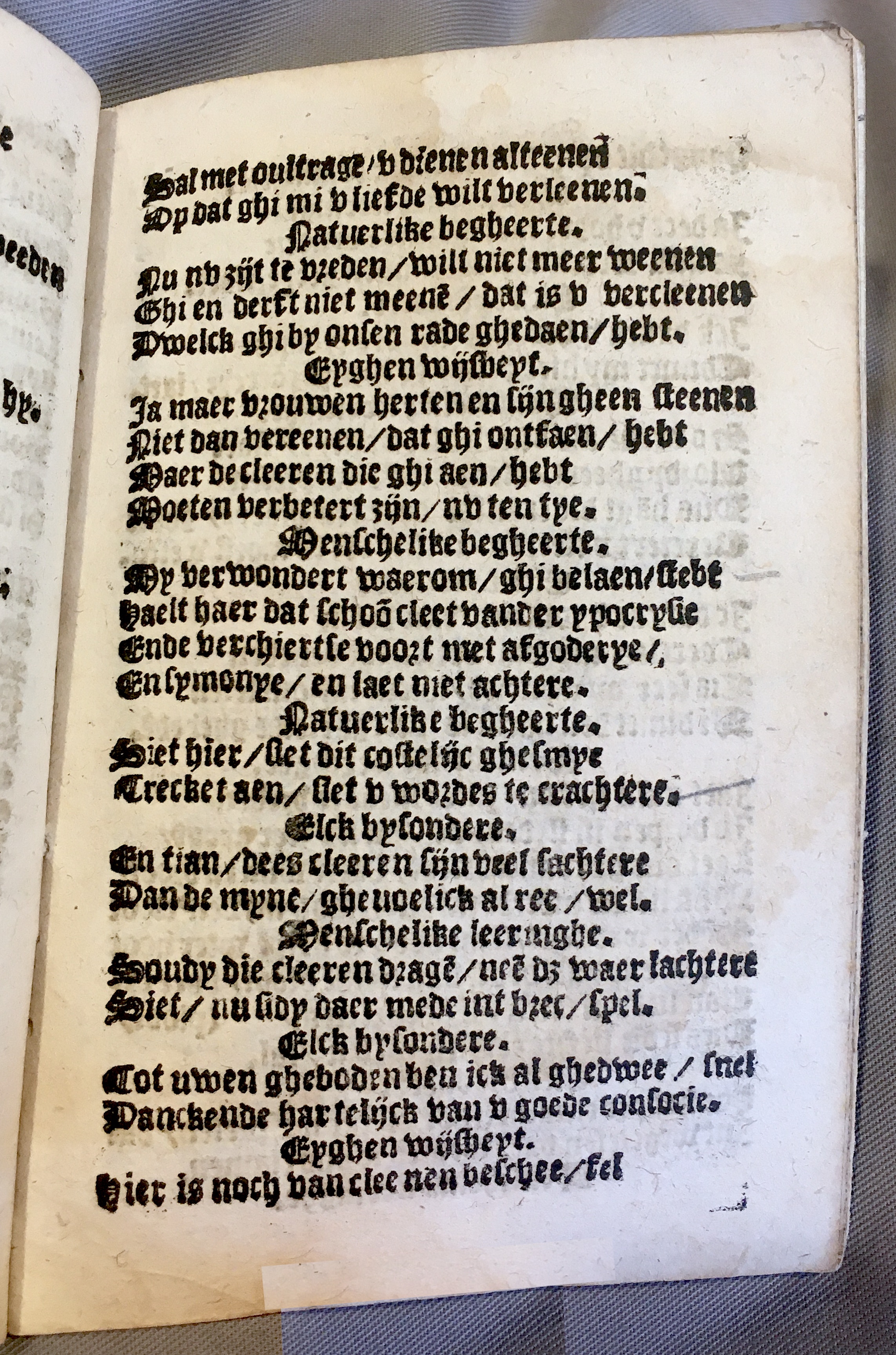 BoomSchriftueren1539ca21