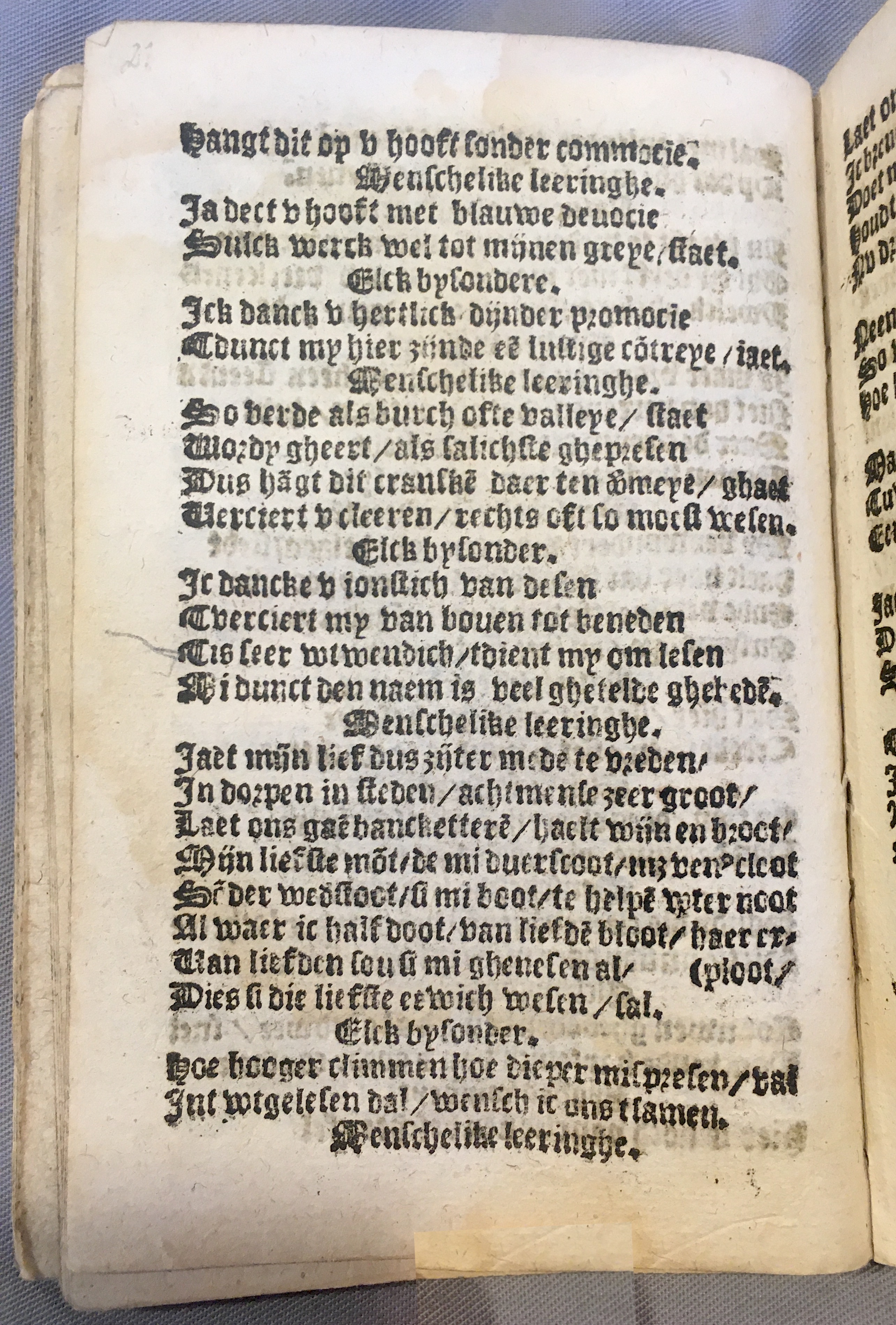 BoomSchriftueren1539ca22