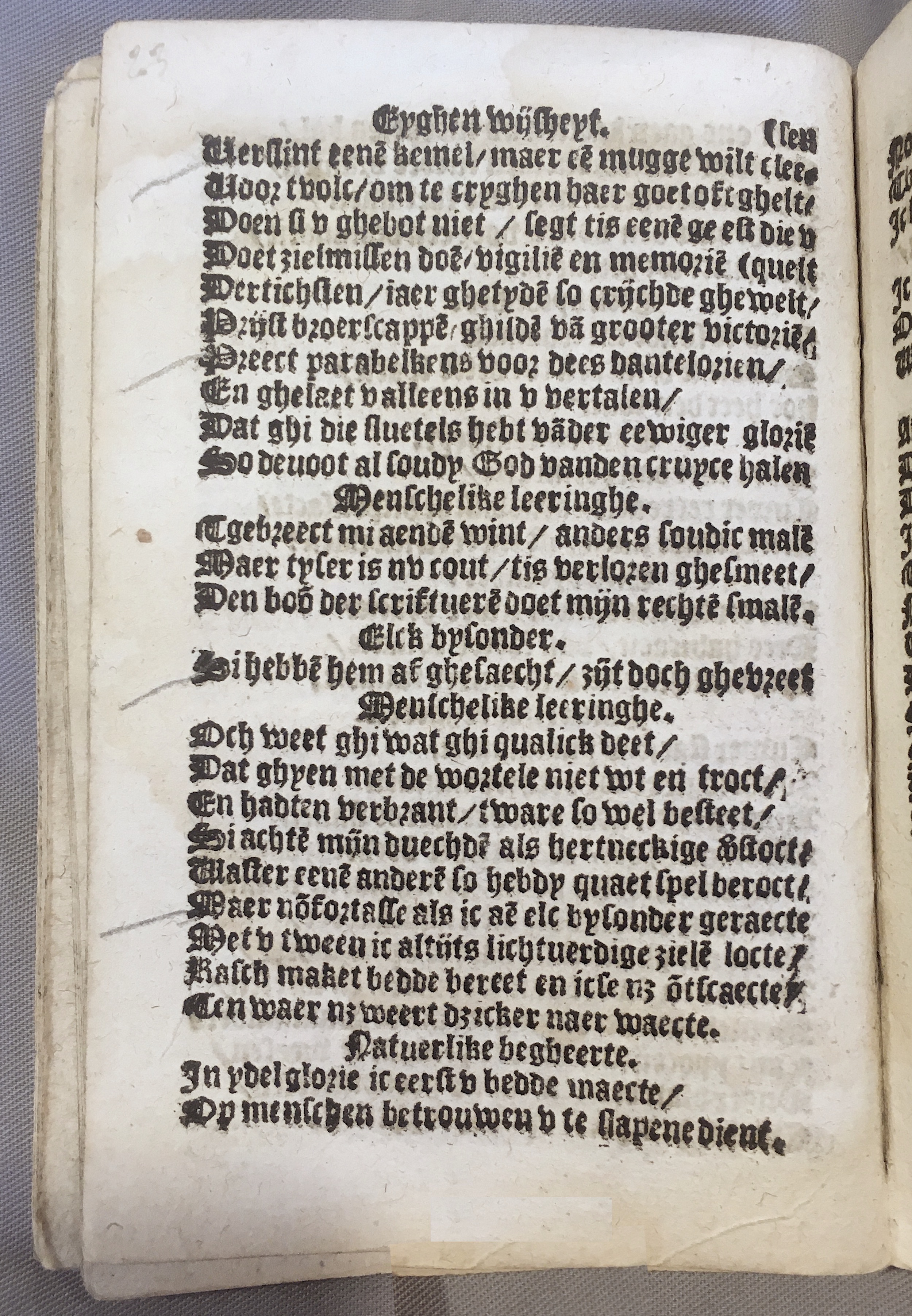 BoomSchriftueren1539ca24