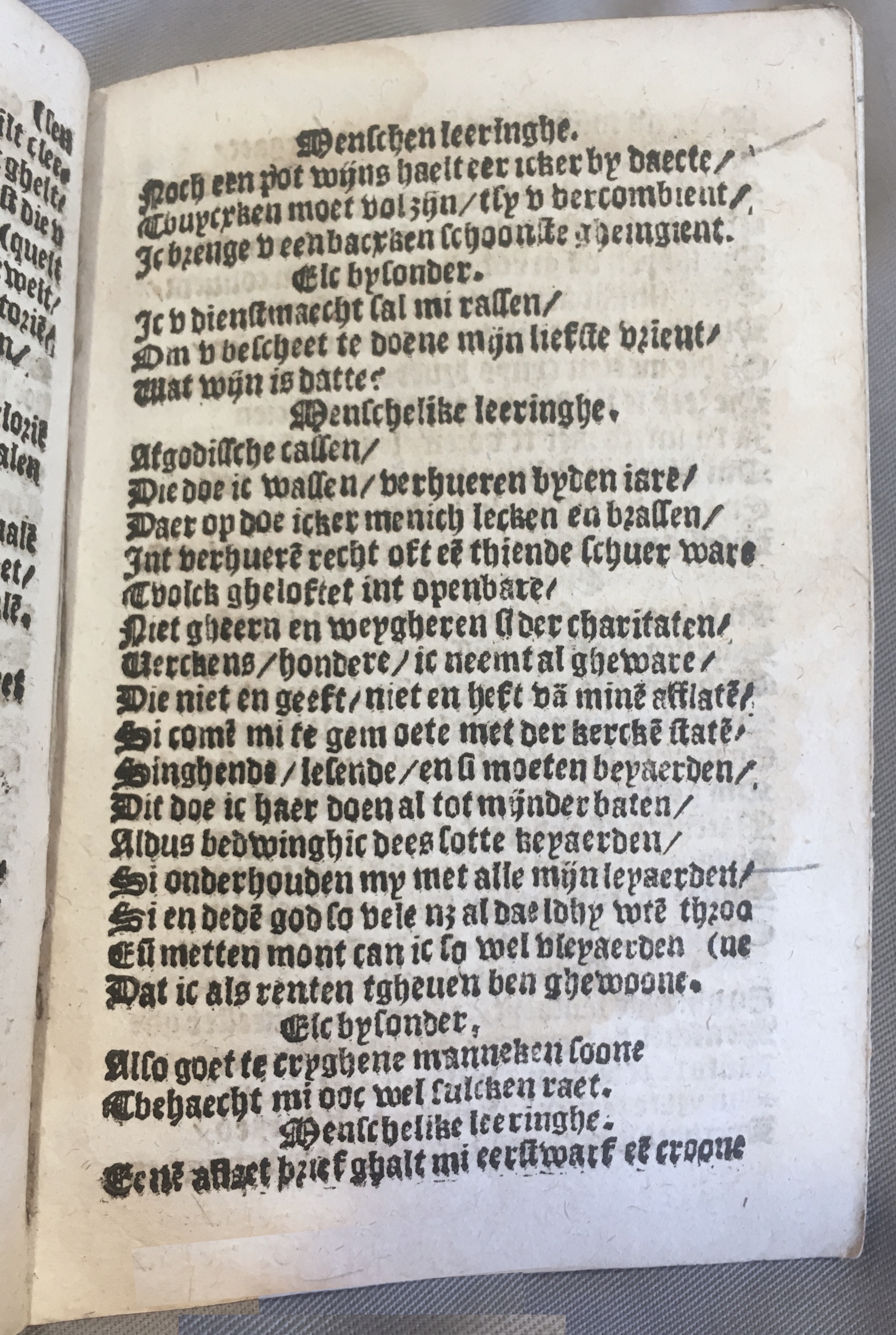 BoomSchriftueren1539ca25