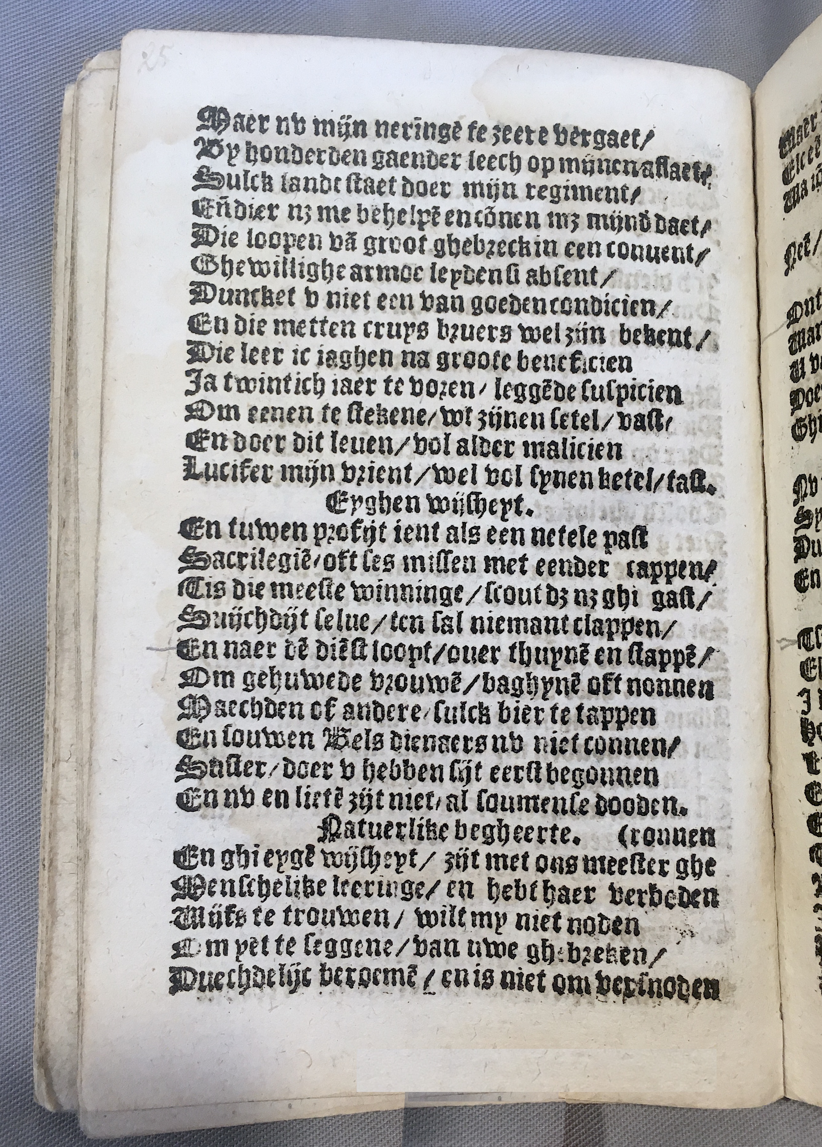 BoomSchriftueren1539ca26