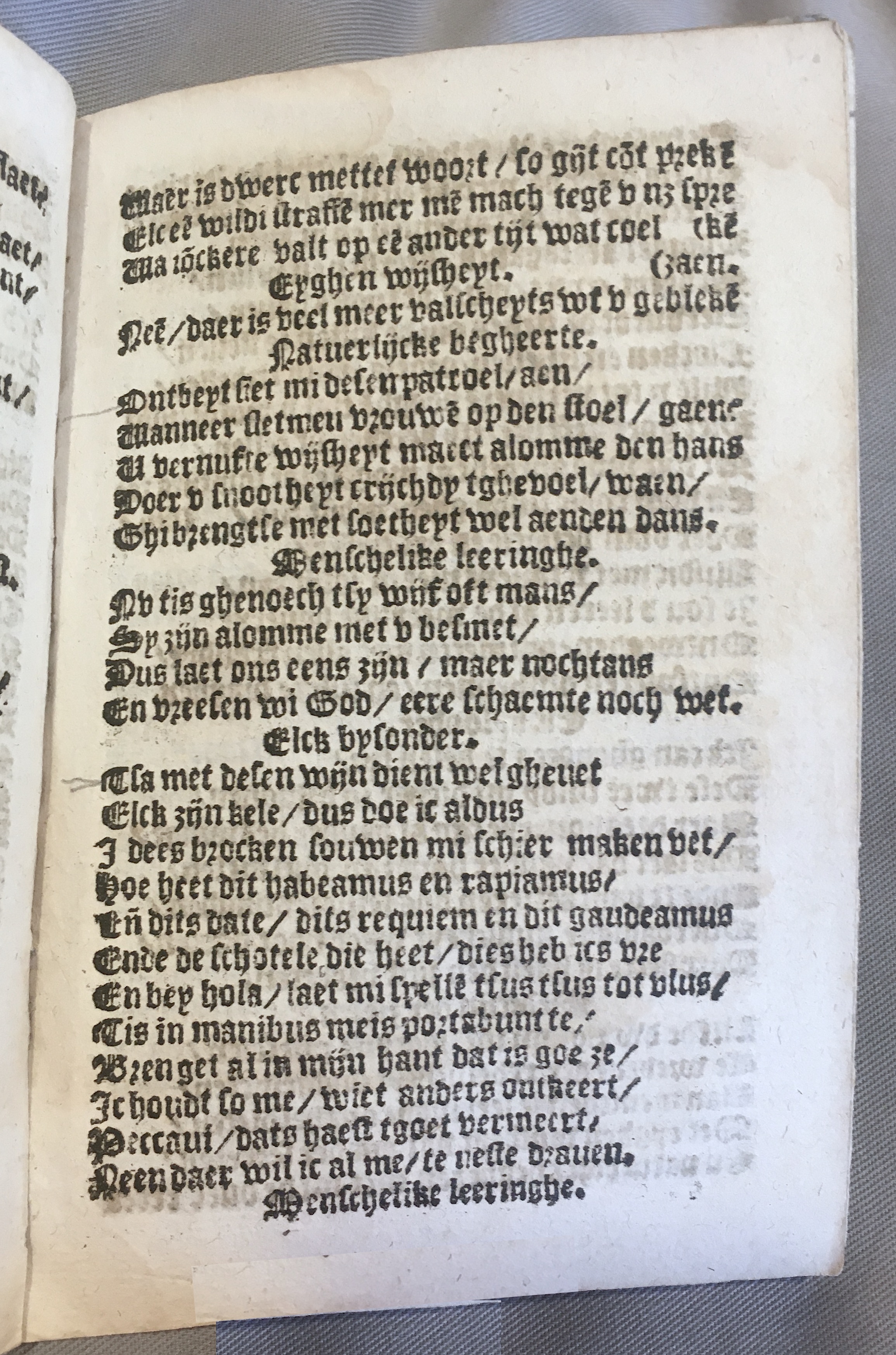 BoomSchriftueren1539ca27