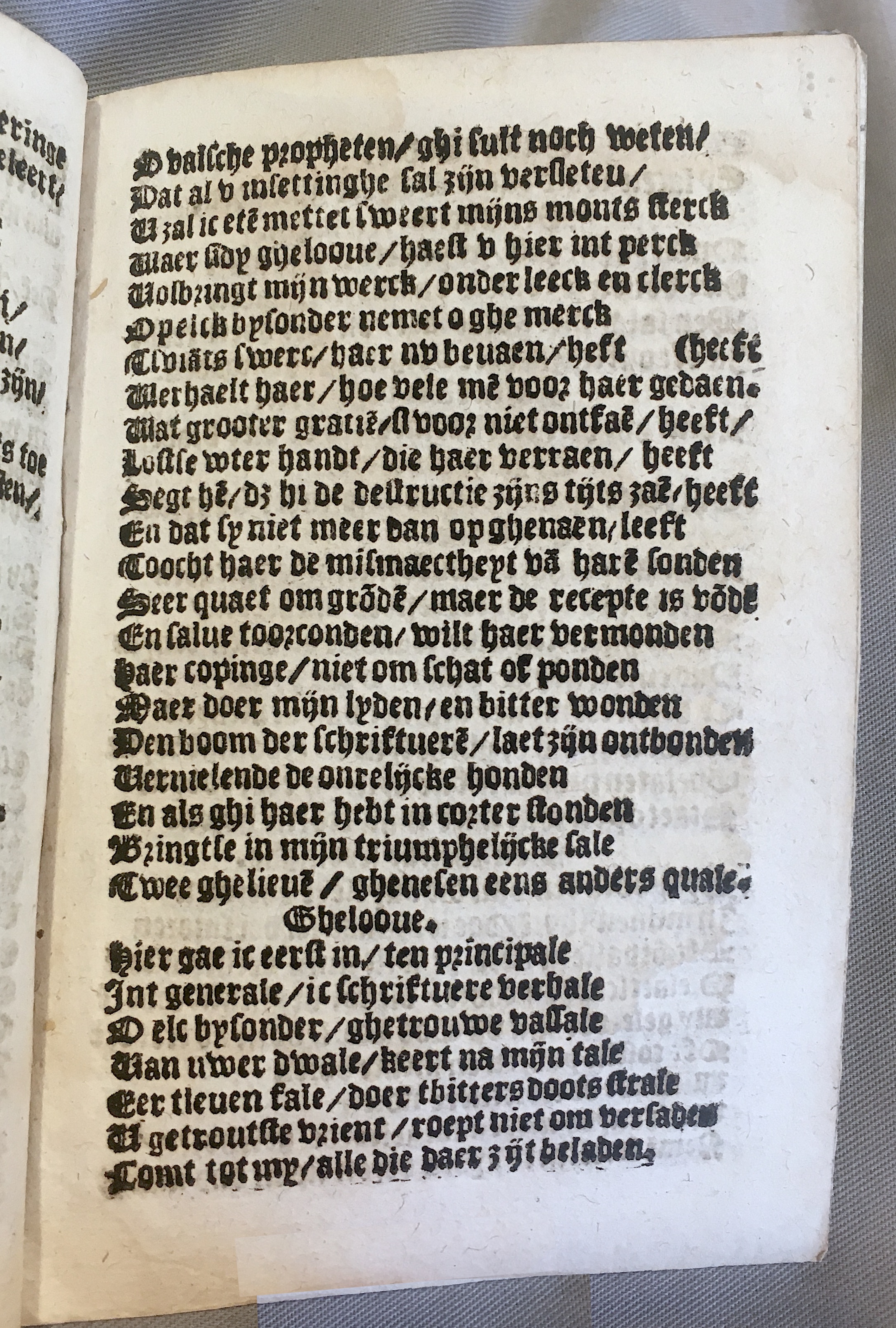 BoomSchriftueren1539ca29