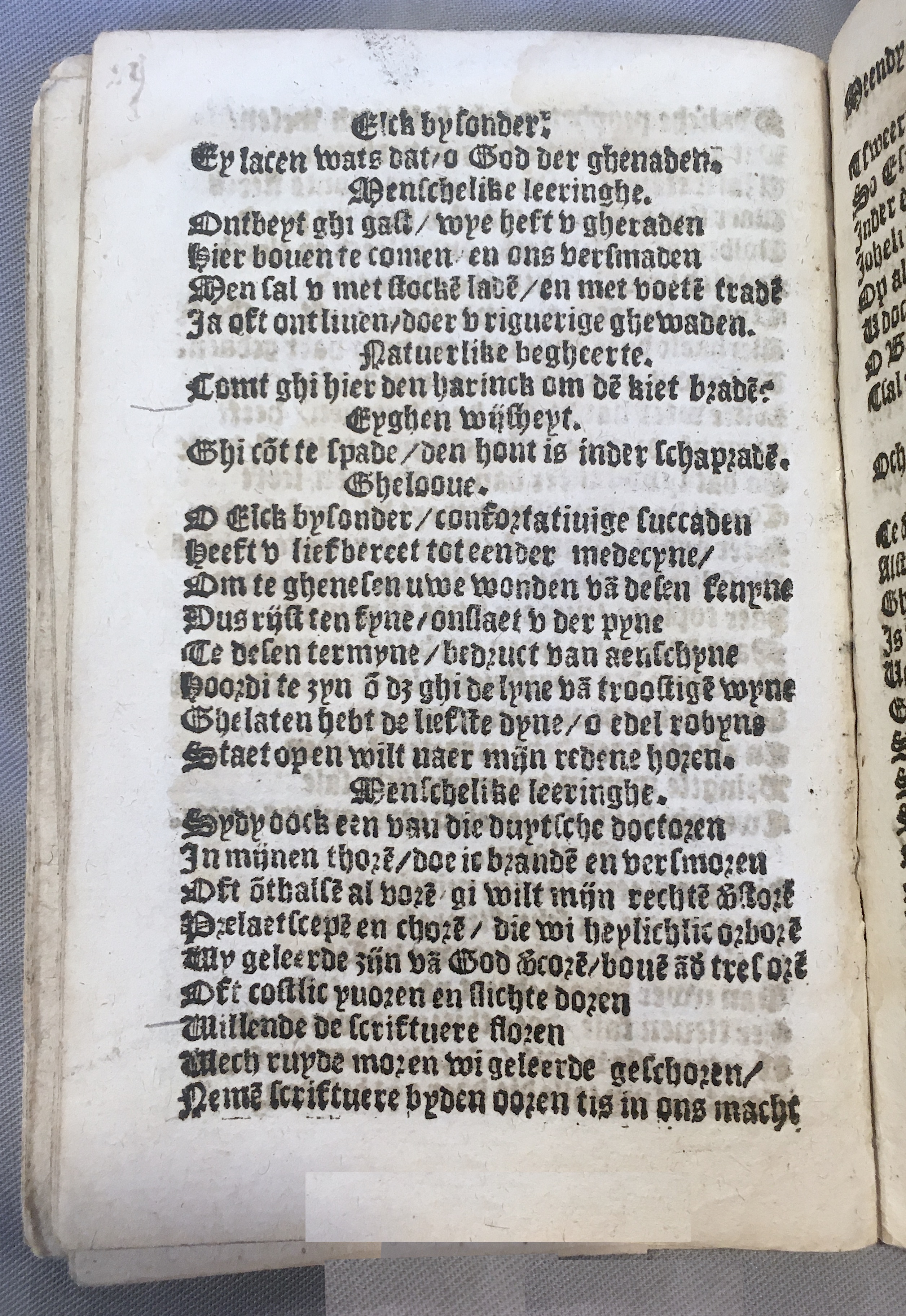 BoomSchriftueren1539ca30