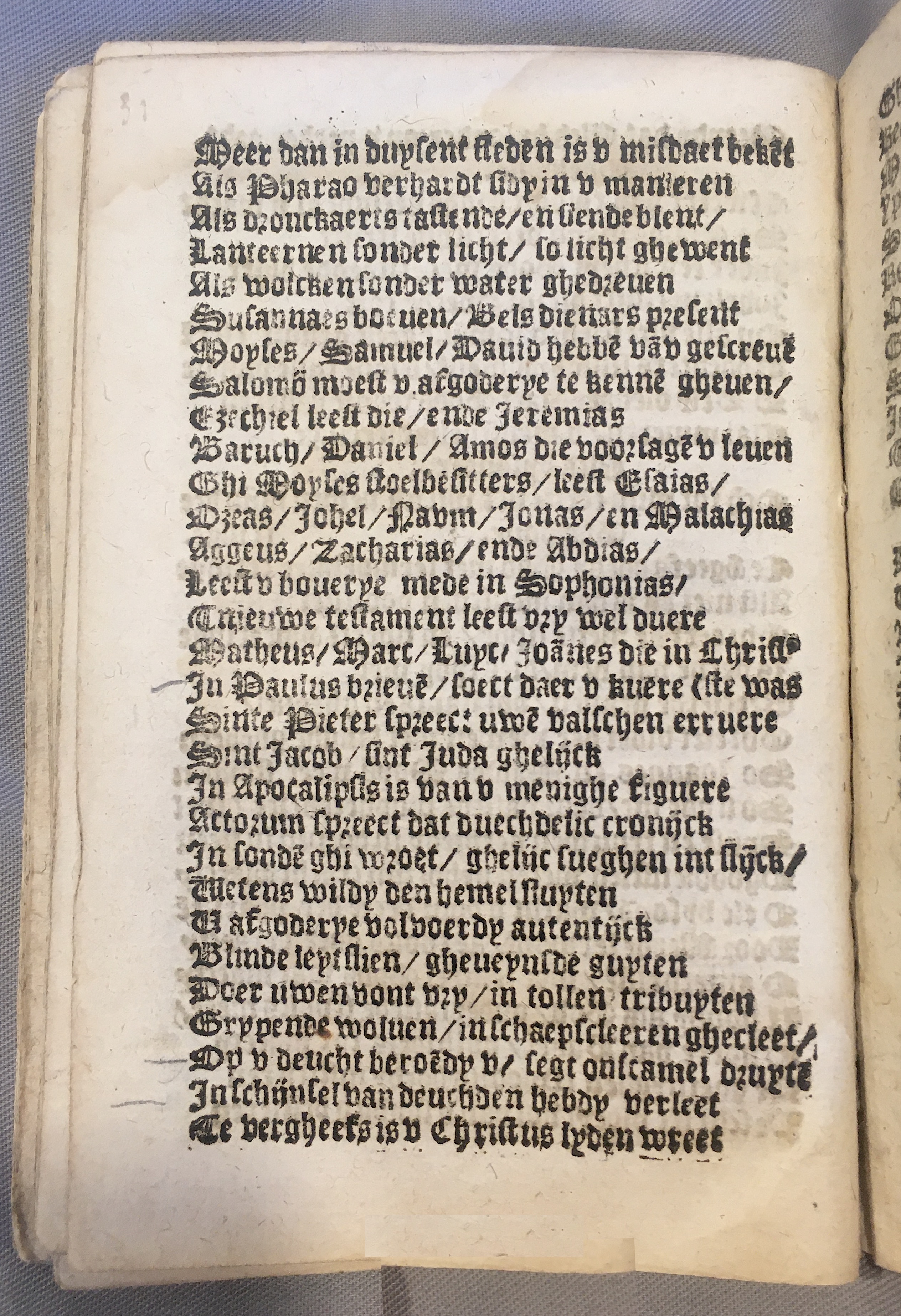 BoomSchriftueren1539ca32