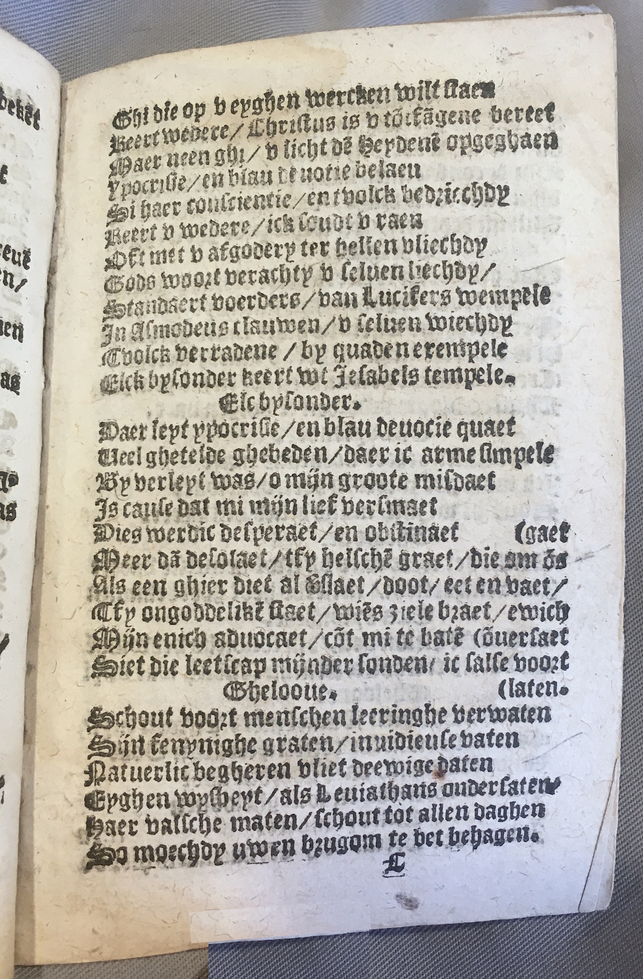 BoomSchriftueren1539ca33