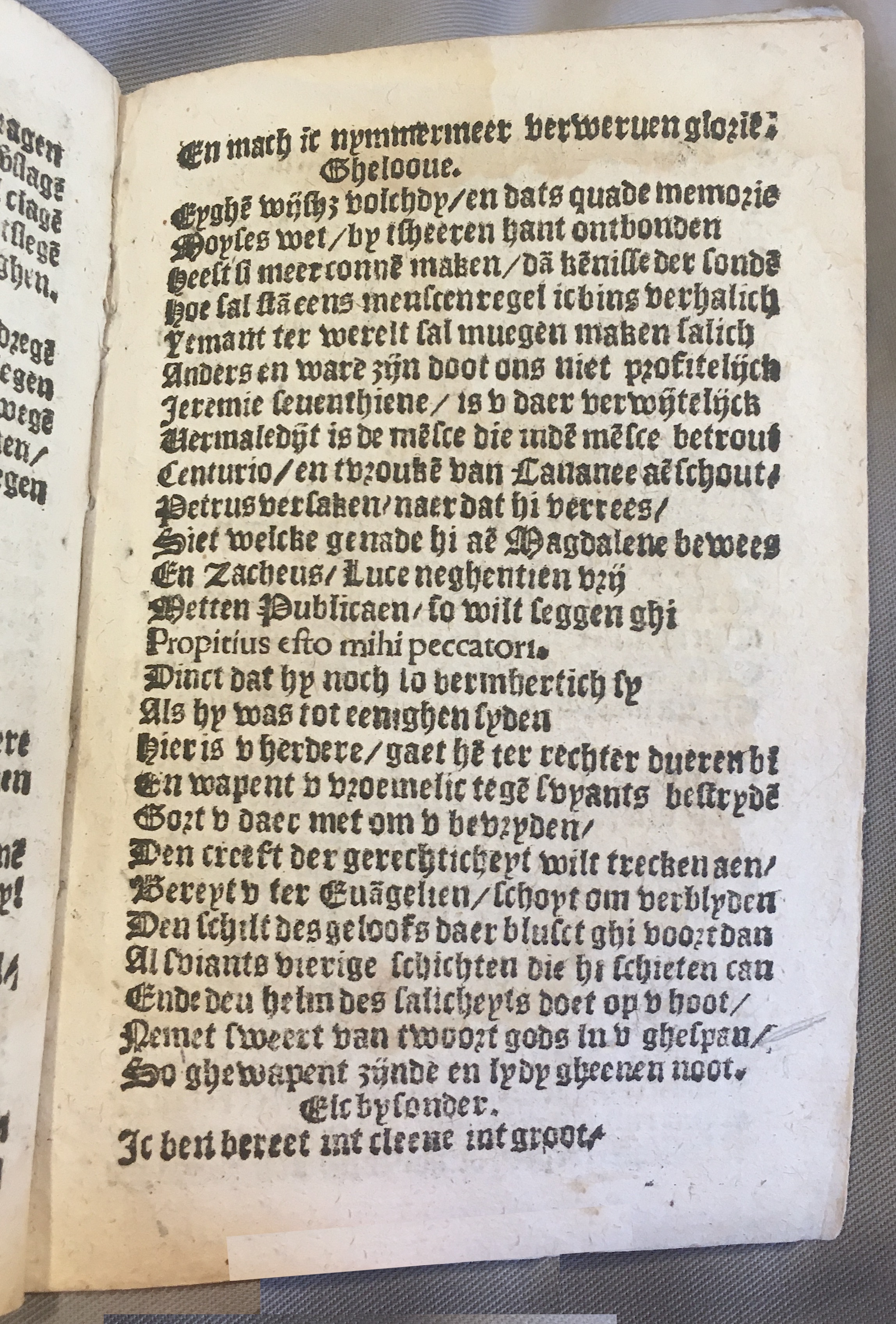 BoomSchriftueren1539ca35