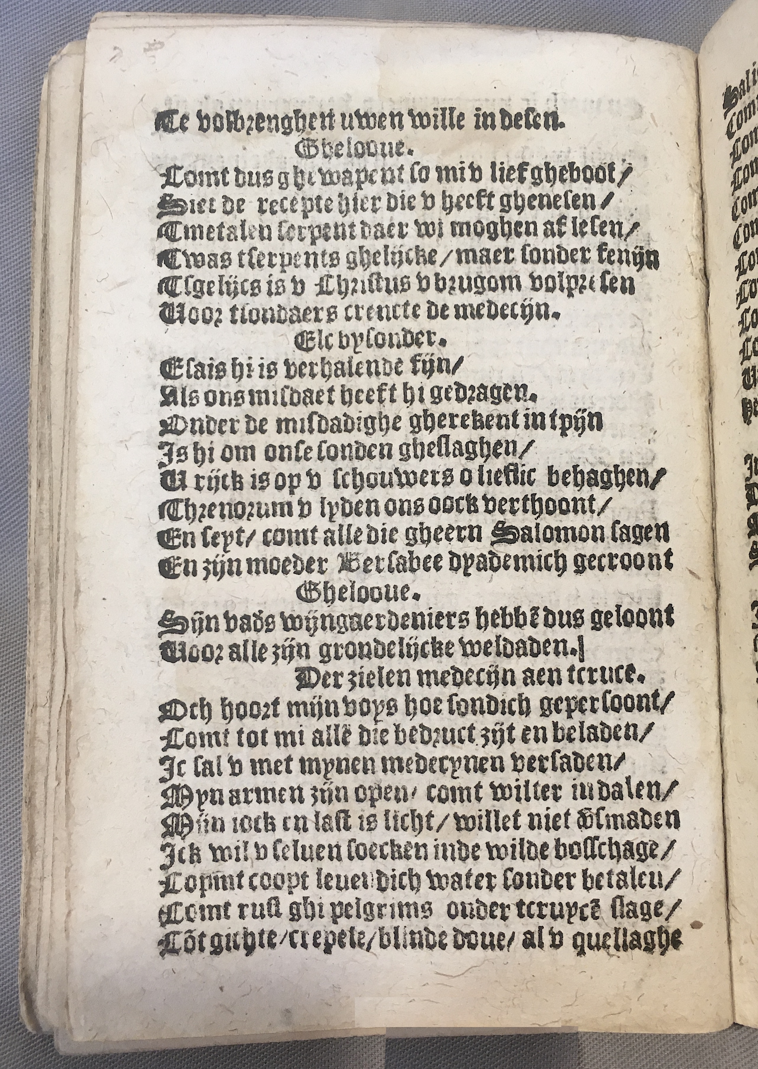 BoomSchriftueren1539ca36.jpg