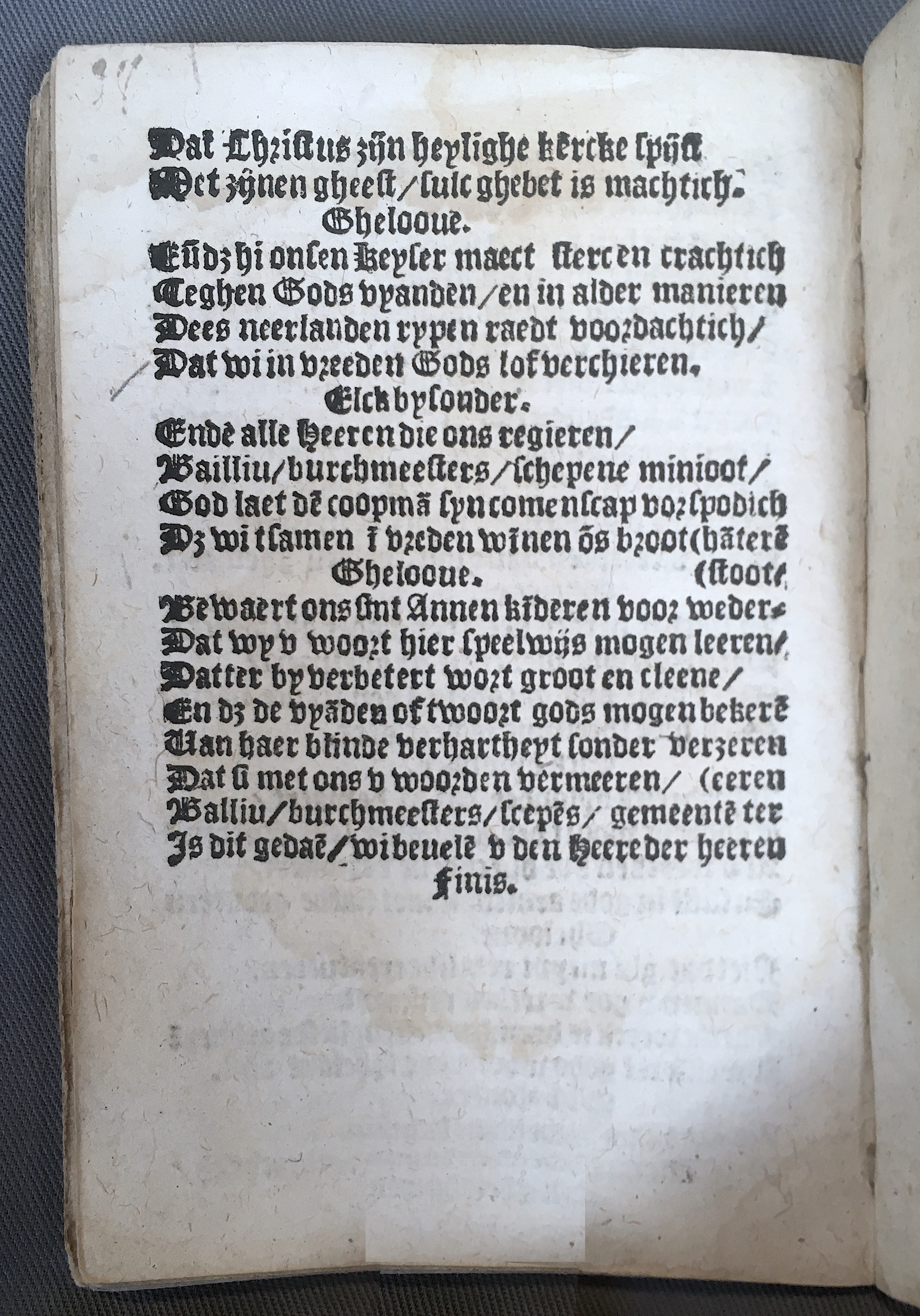 BoomSchriftueren1539ca38