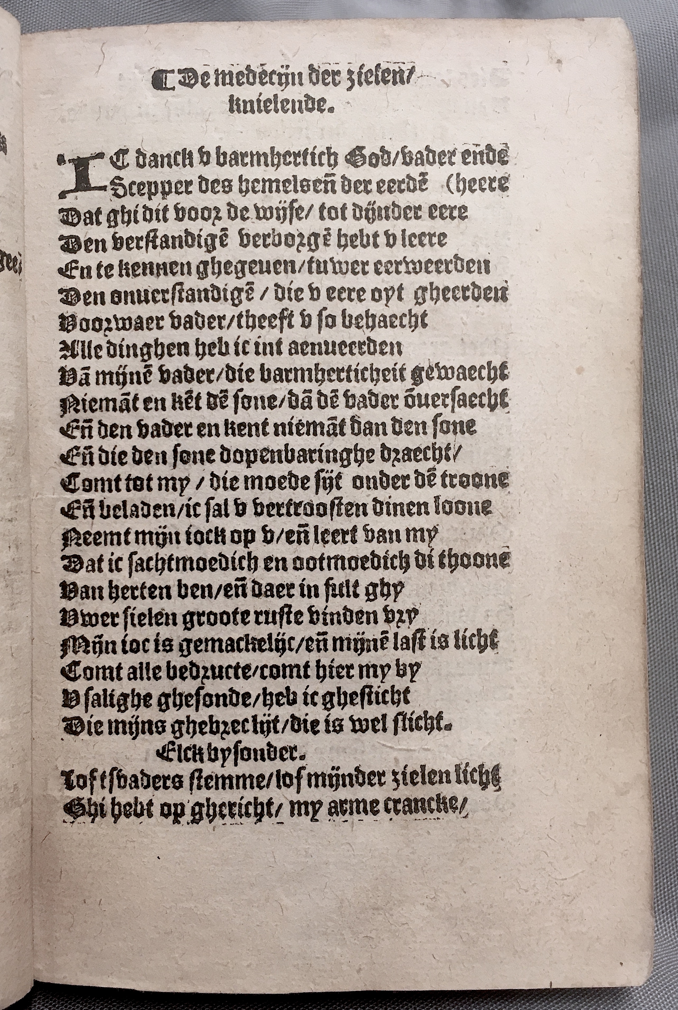 BoomSchriftueren1560ca03