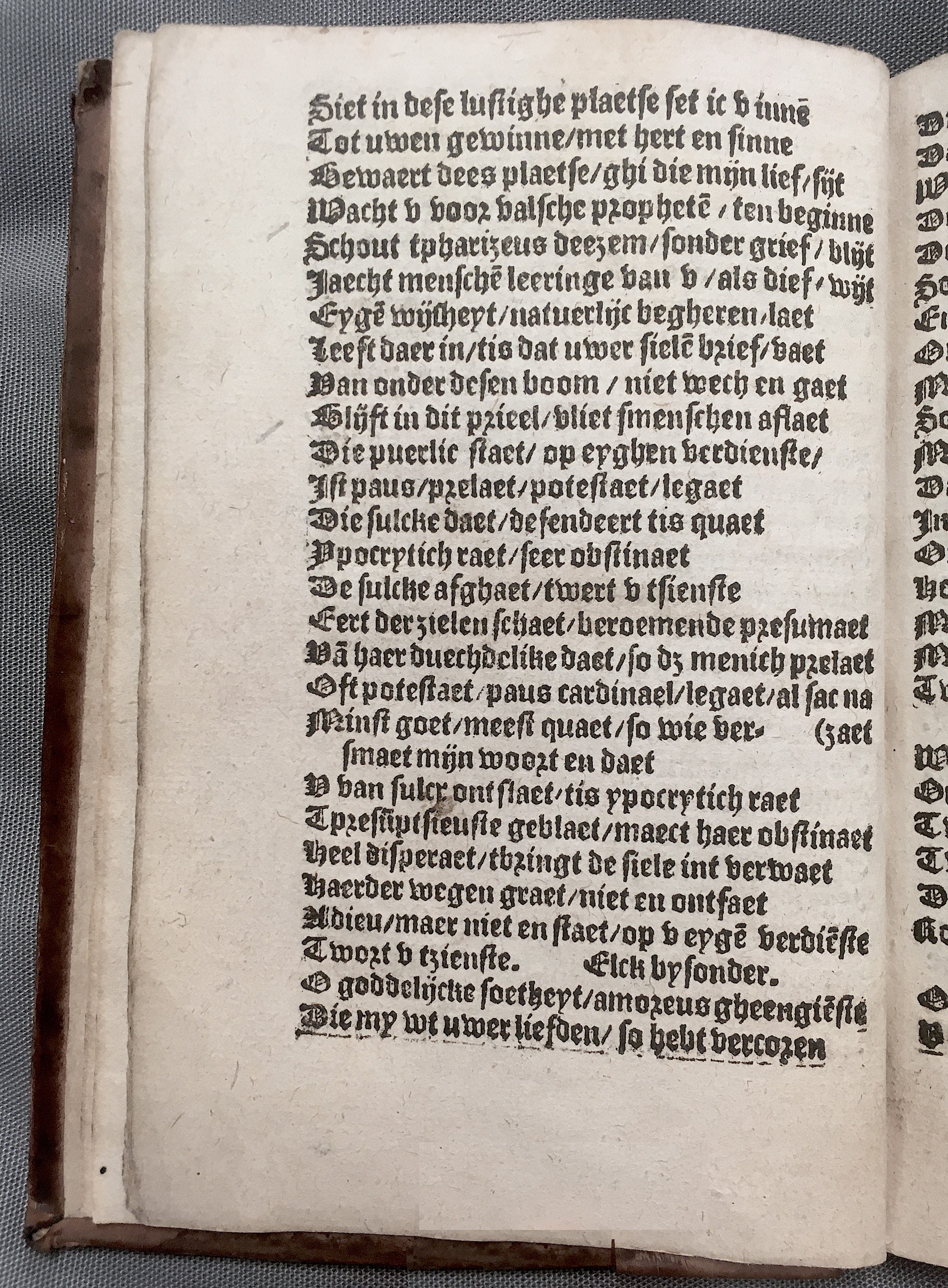 BoomSchriftueren1560ca06