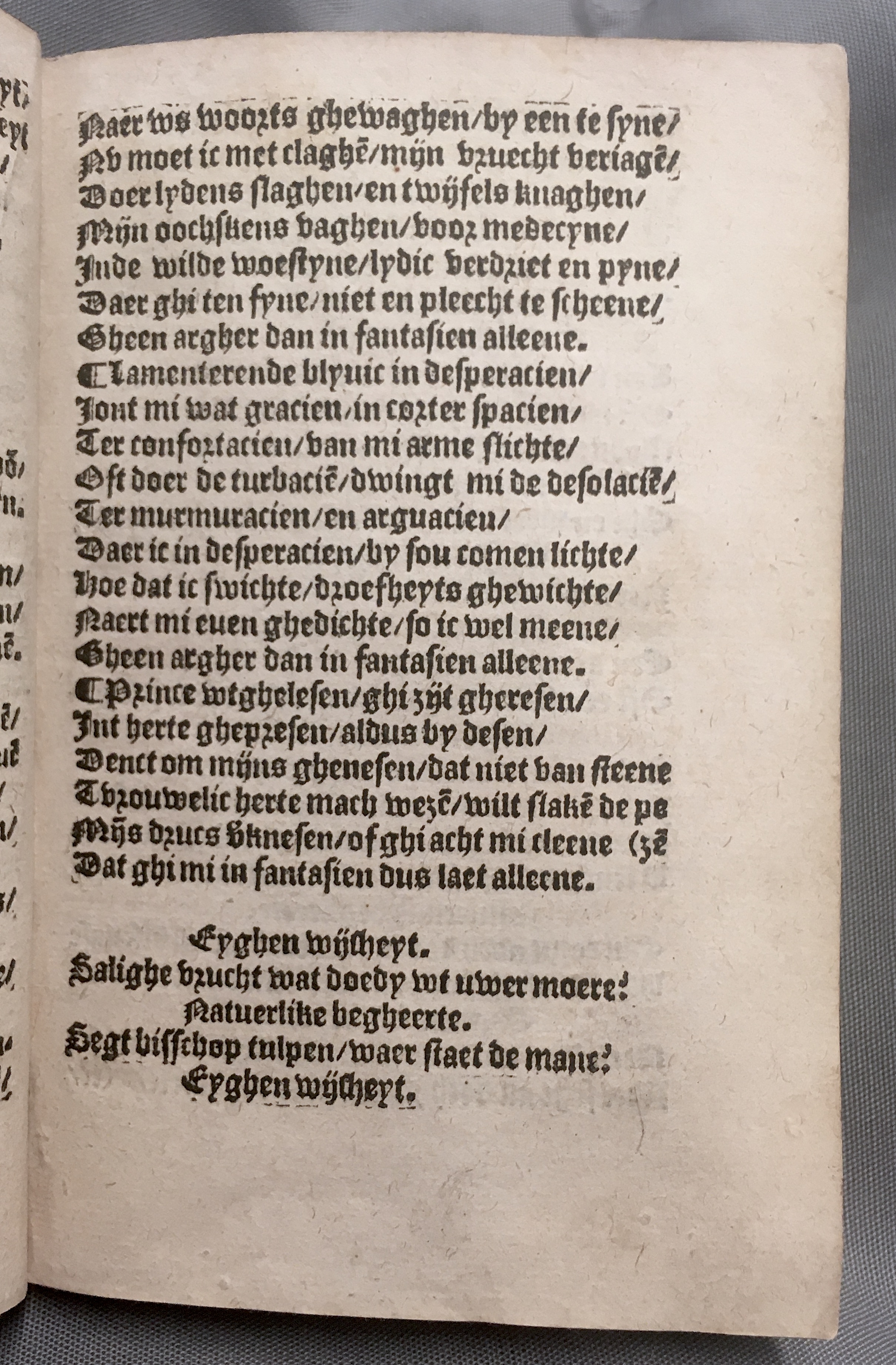 BoomSchriftueren1560ca11.jpg