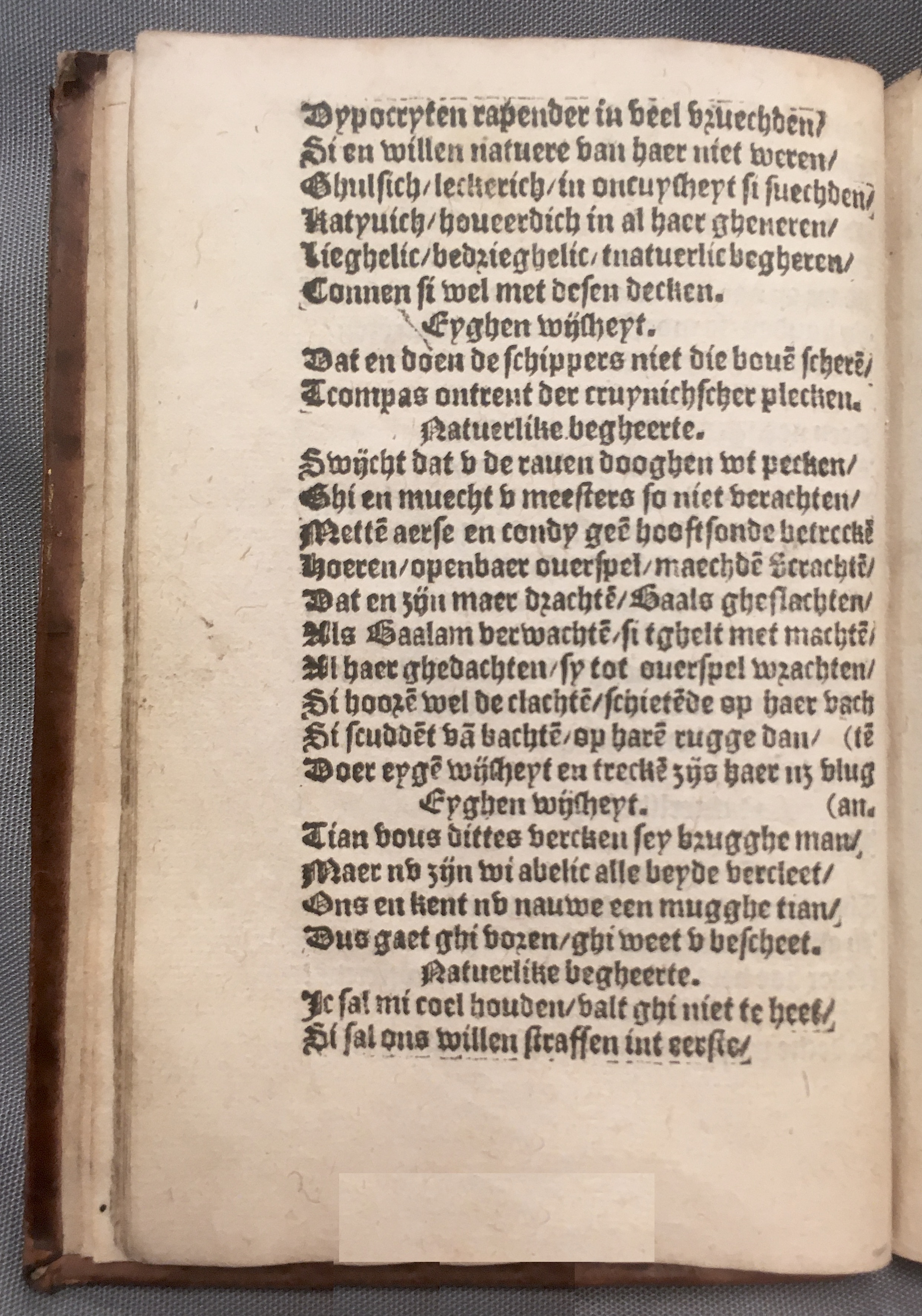 BoomSchriftueren1560ca14