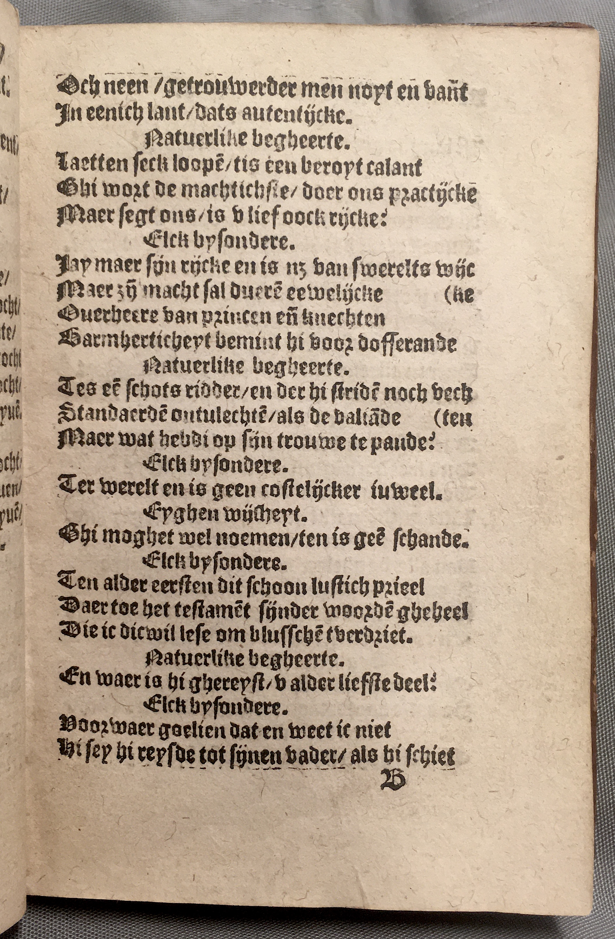 BoomSchriftueren1560ca17