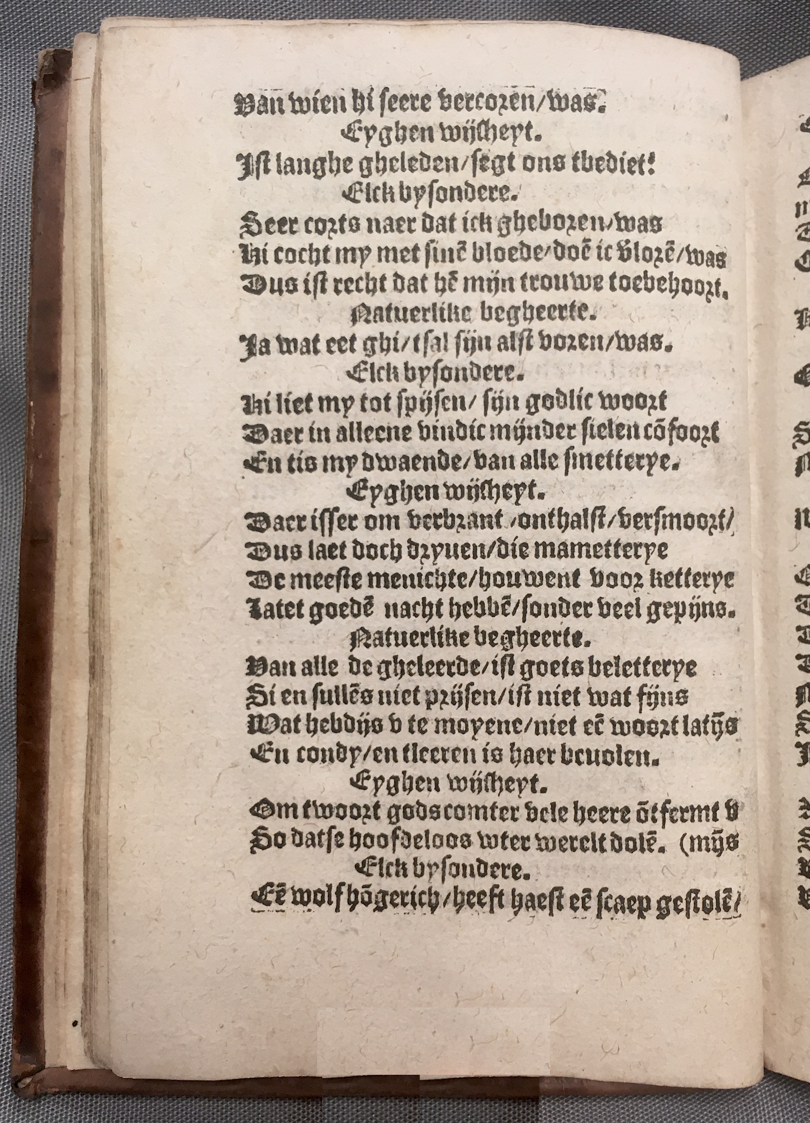 BoomSchriftueren1560ca18.jpg