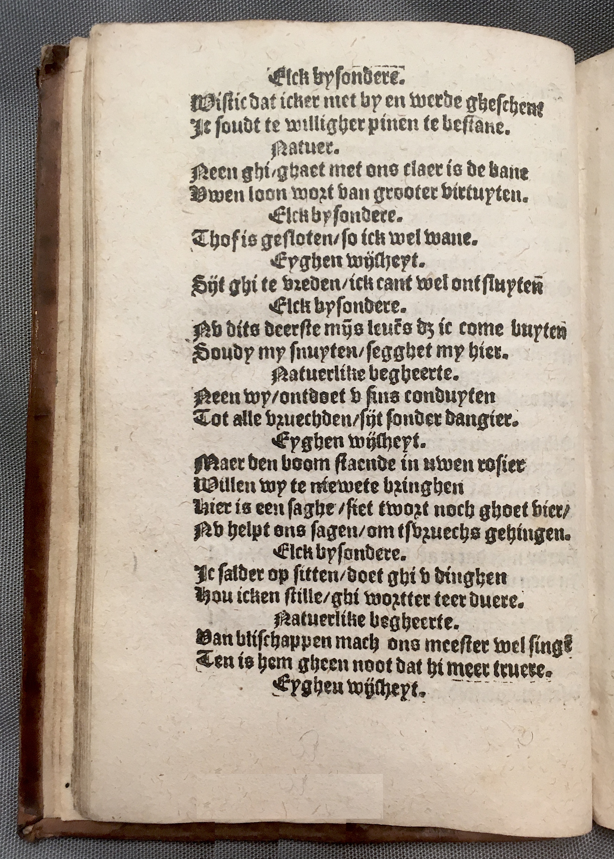 BoomSchriftueren1560ca20