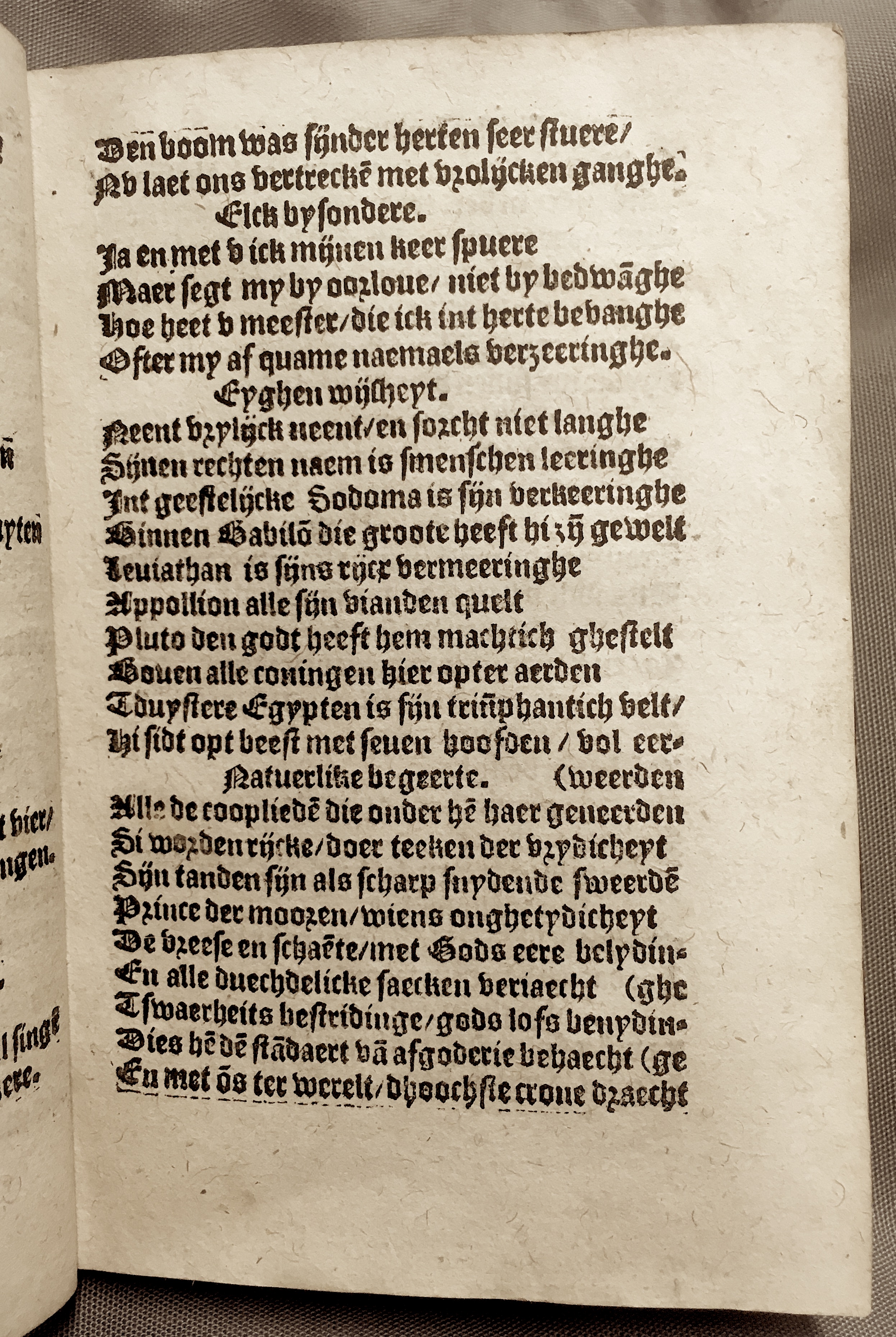 BoomSchriftueren1560ca21.jpg