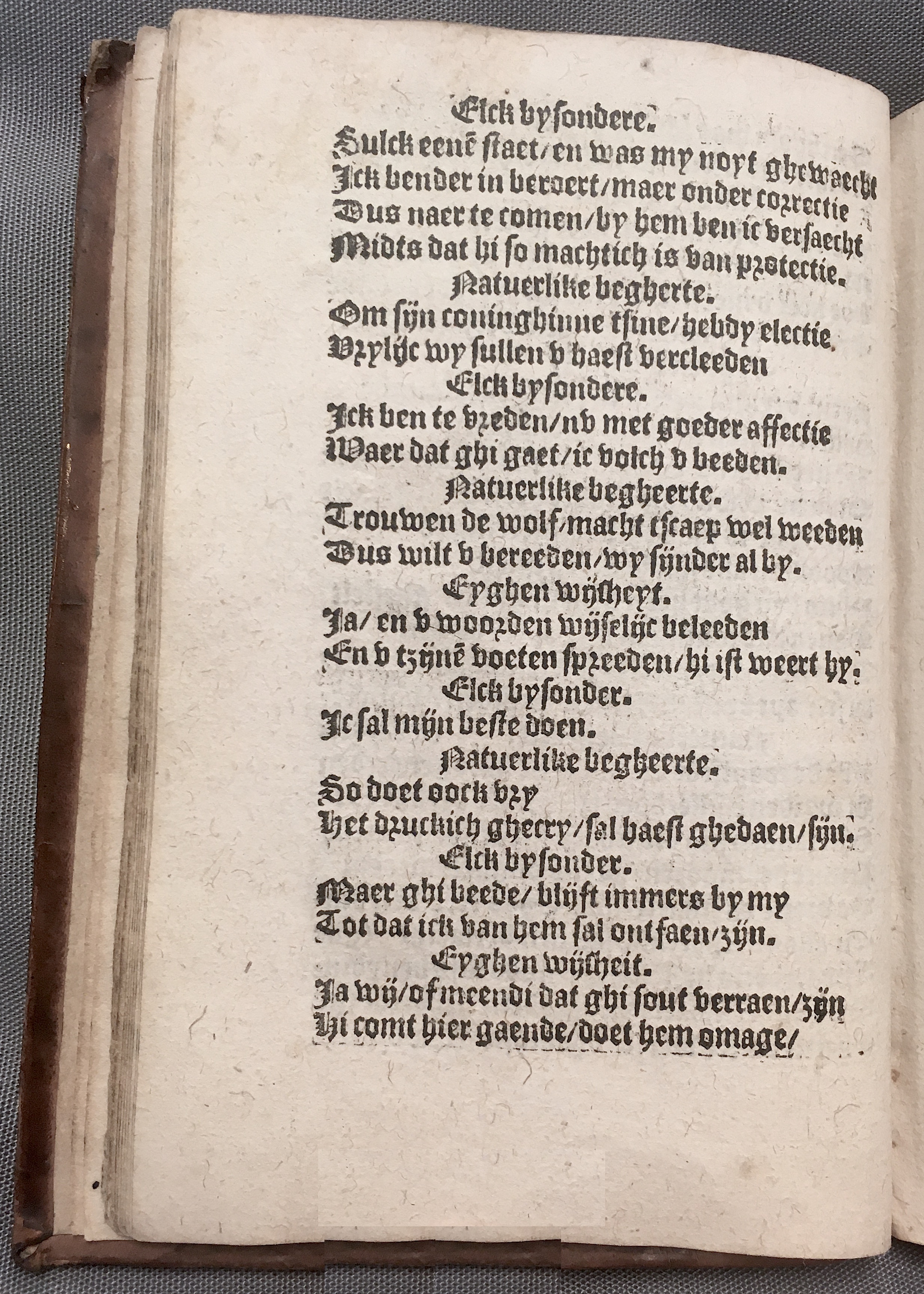 BoomSchriftueren1560ca22