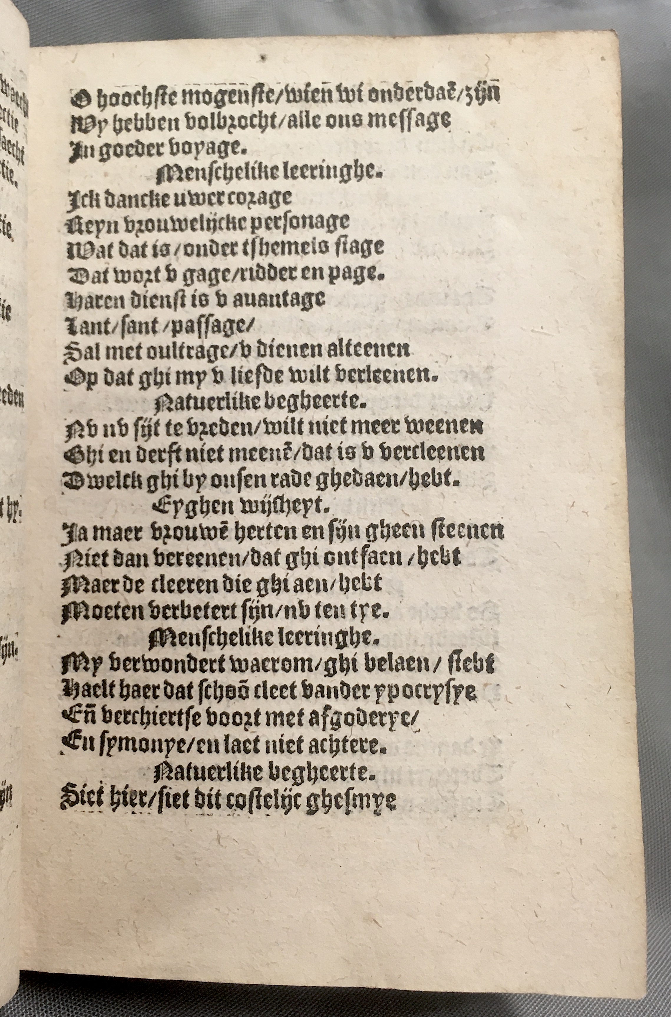 BoomSchriftueren1560ca23