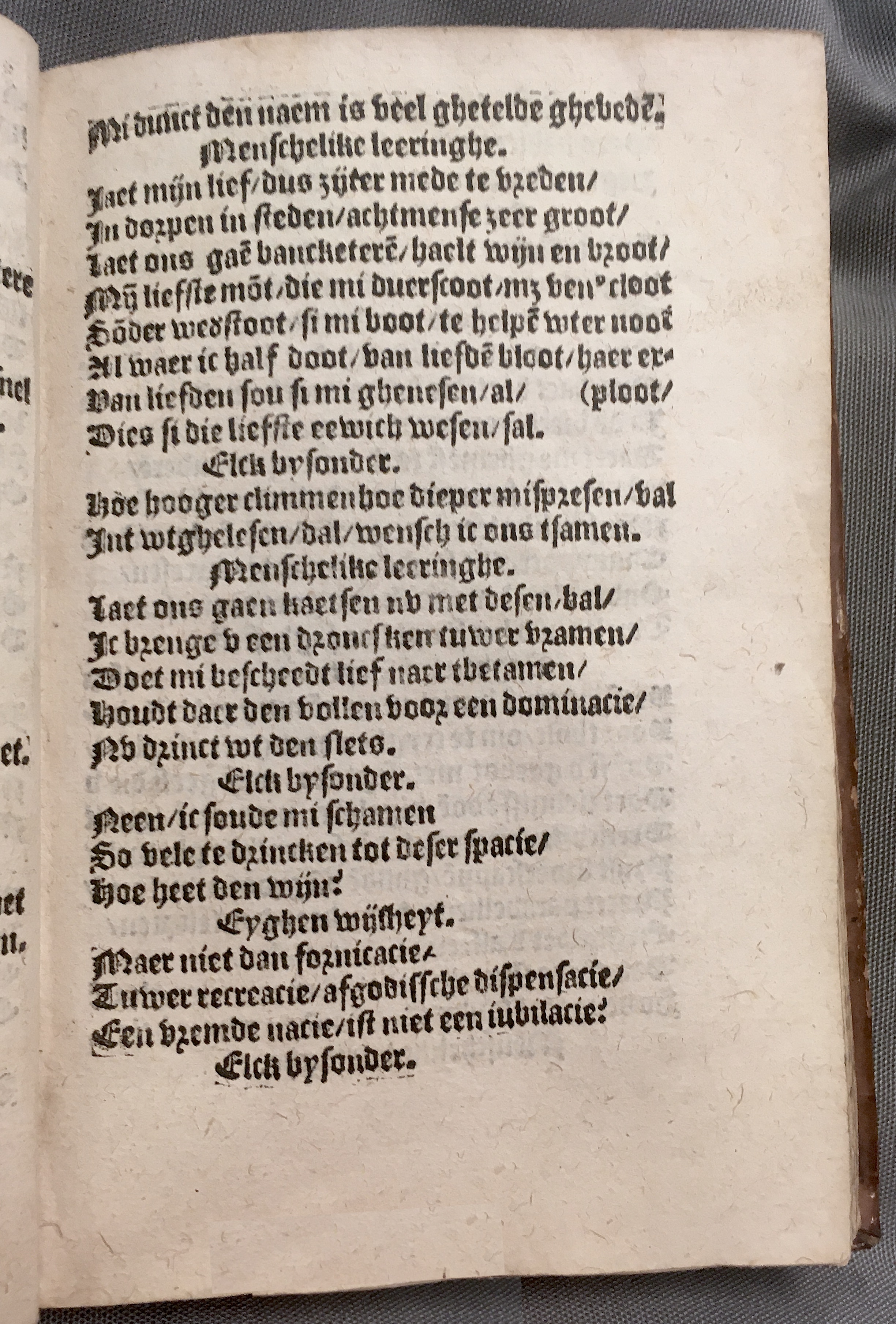 BoomSchriftueren1560ca25