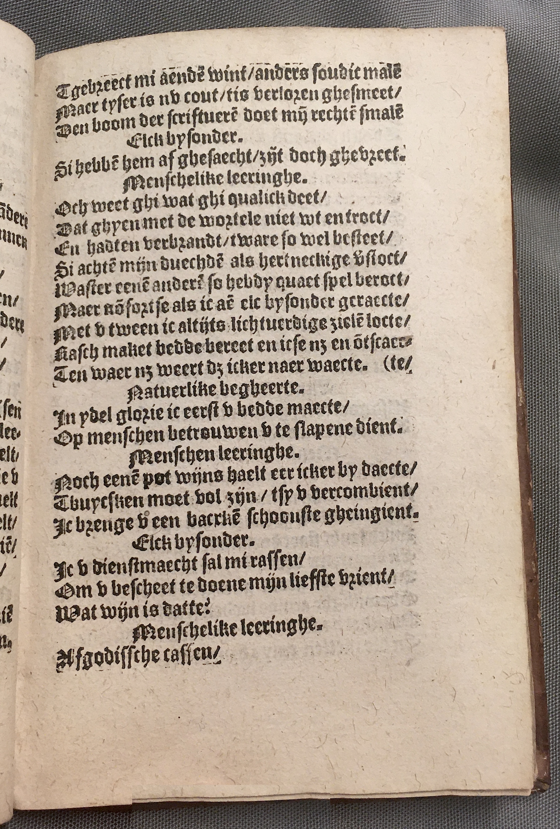 BoomSchriftueren1560ca27