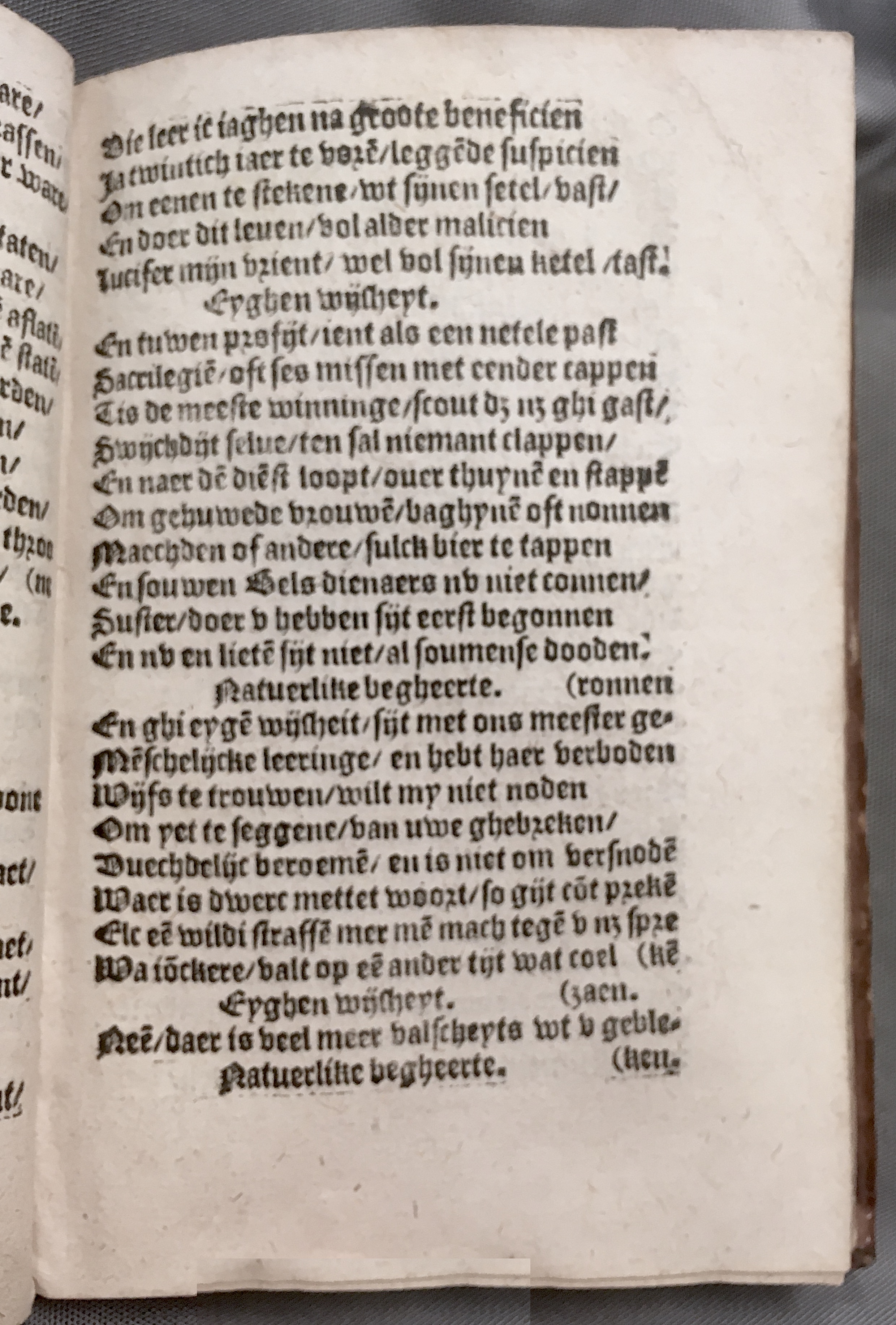 BoomSchriftueren1560ca29