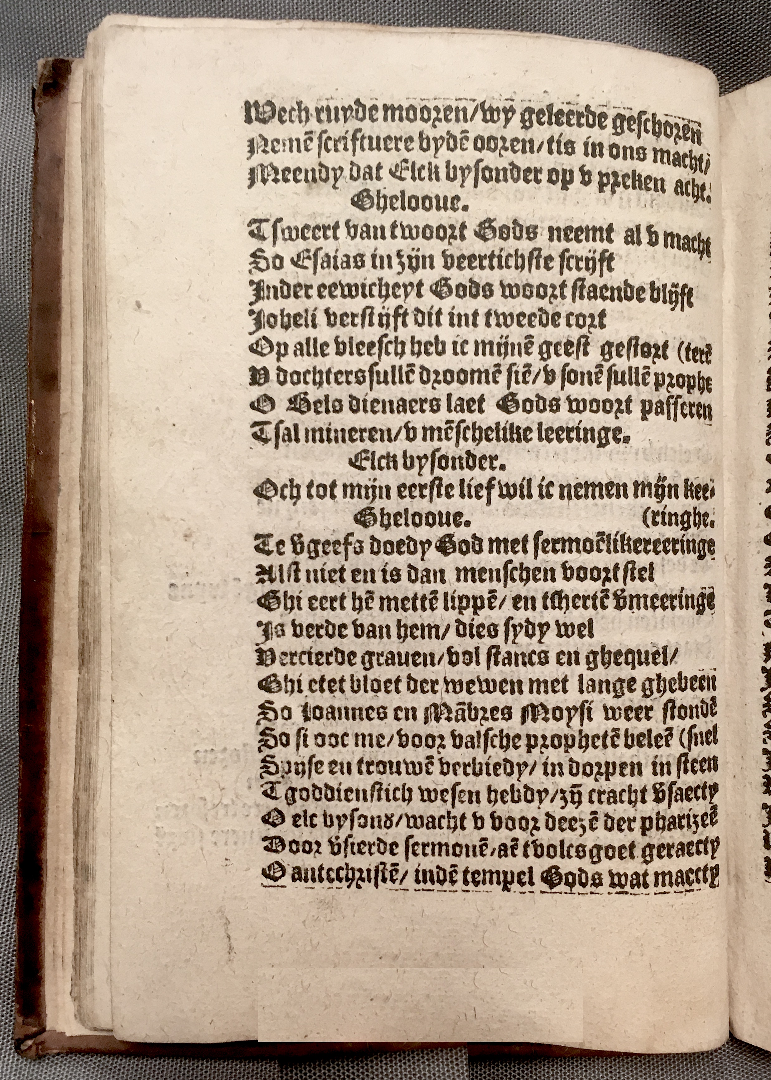 BoomSchriftueren1560ca34