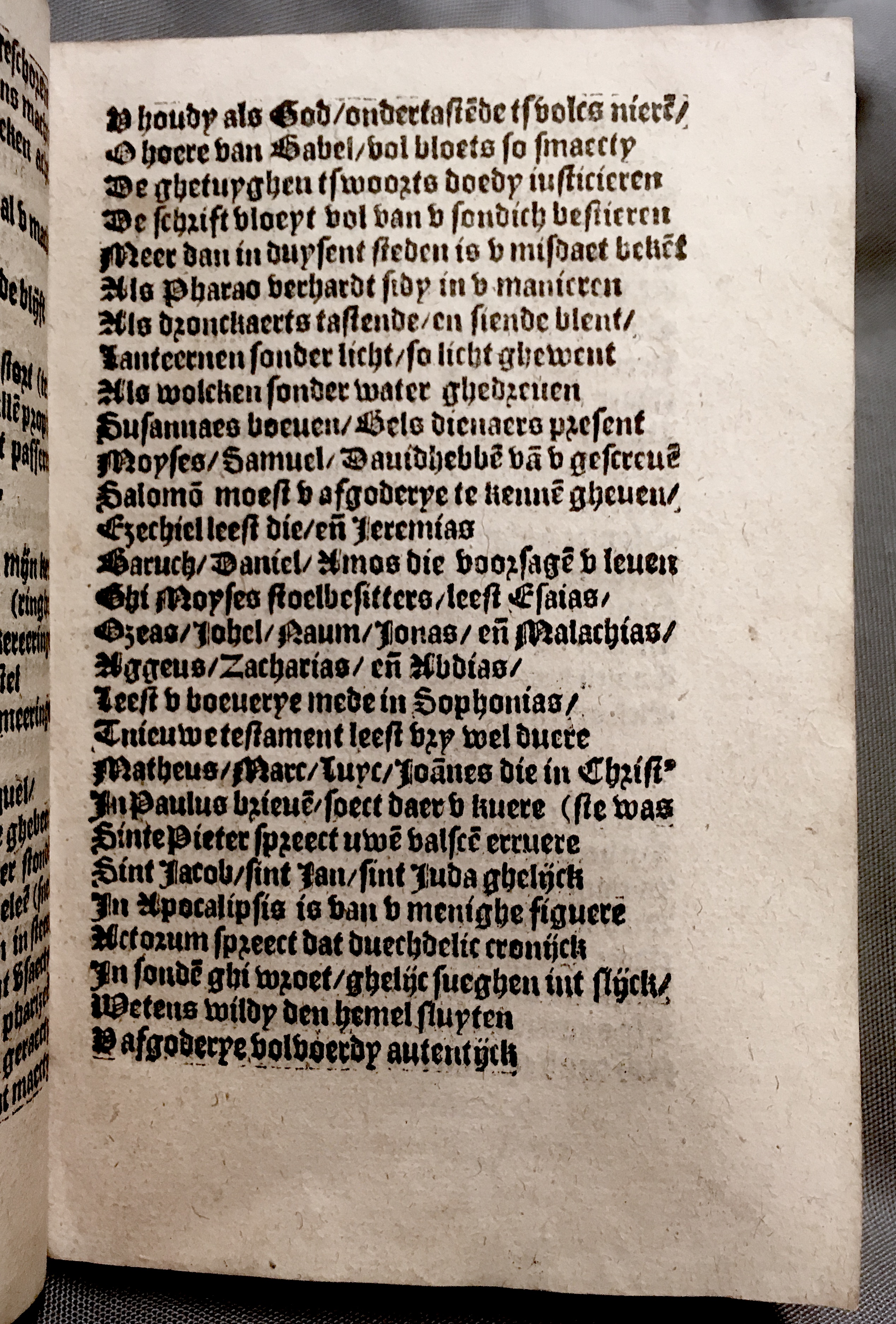 BoomSchriftueren1560ca35