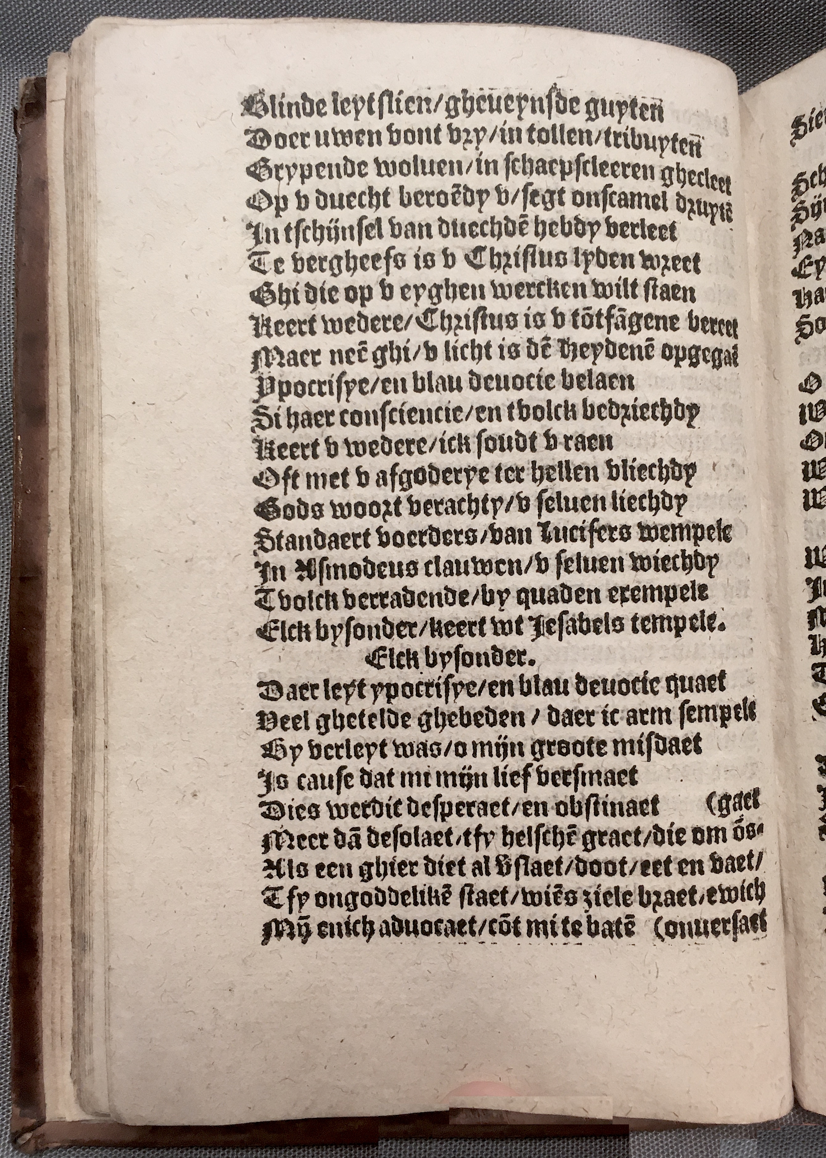 BoomSchriftueren1560ca36.jpg