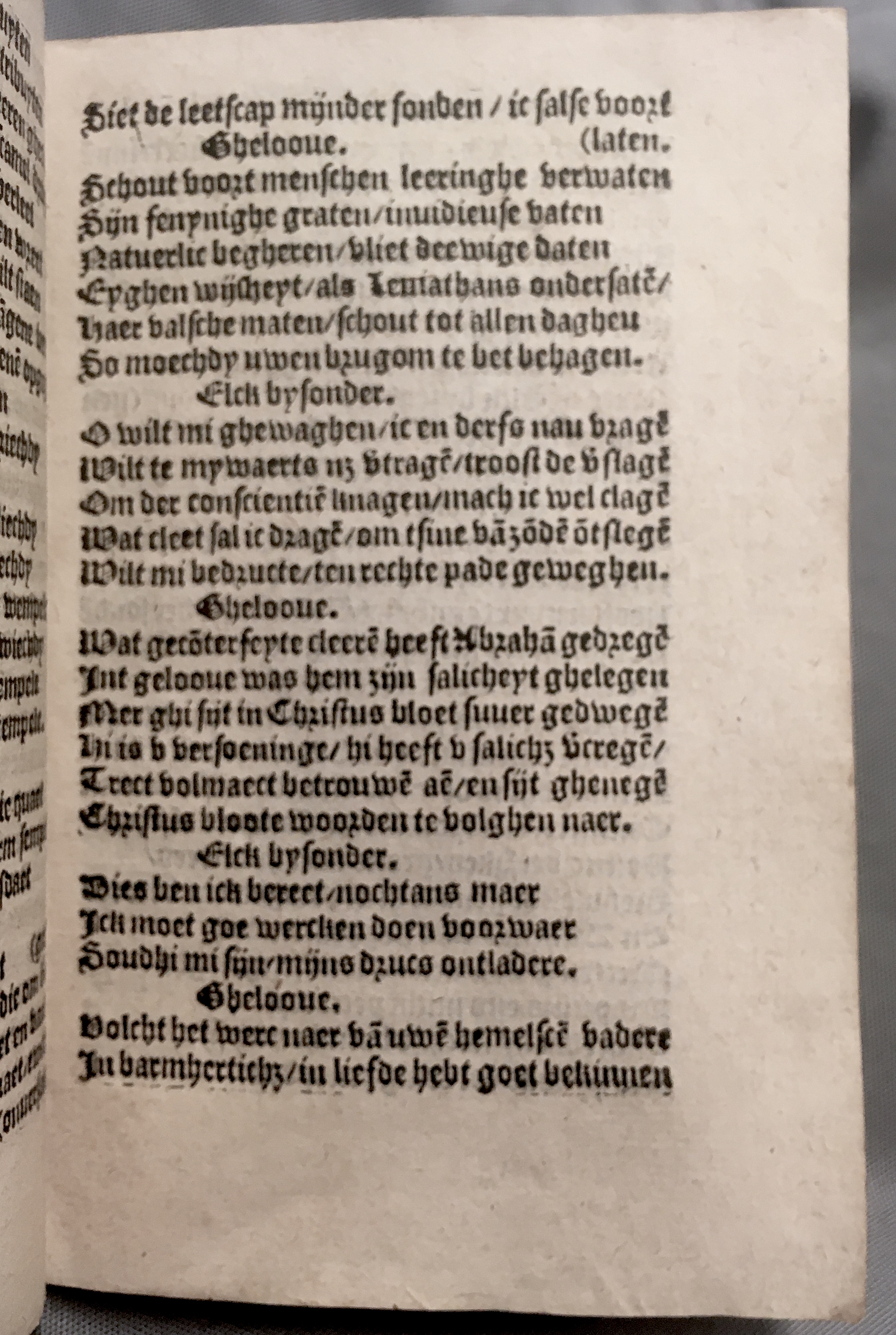 BoomSchriftueren1560ca37.jpg